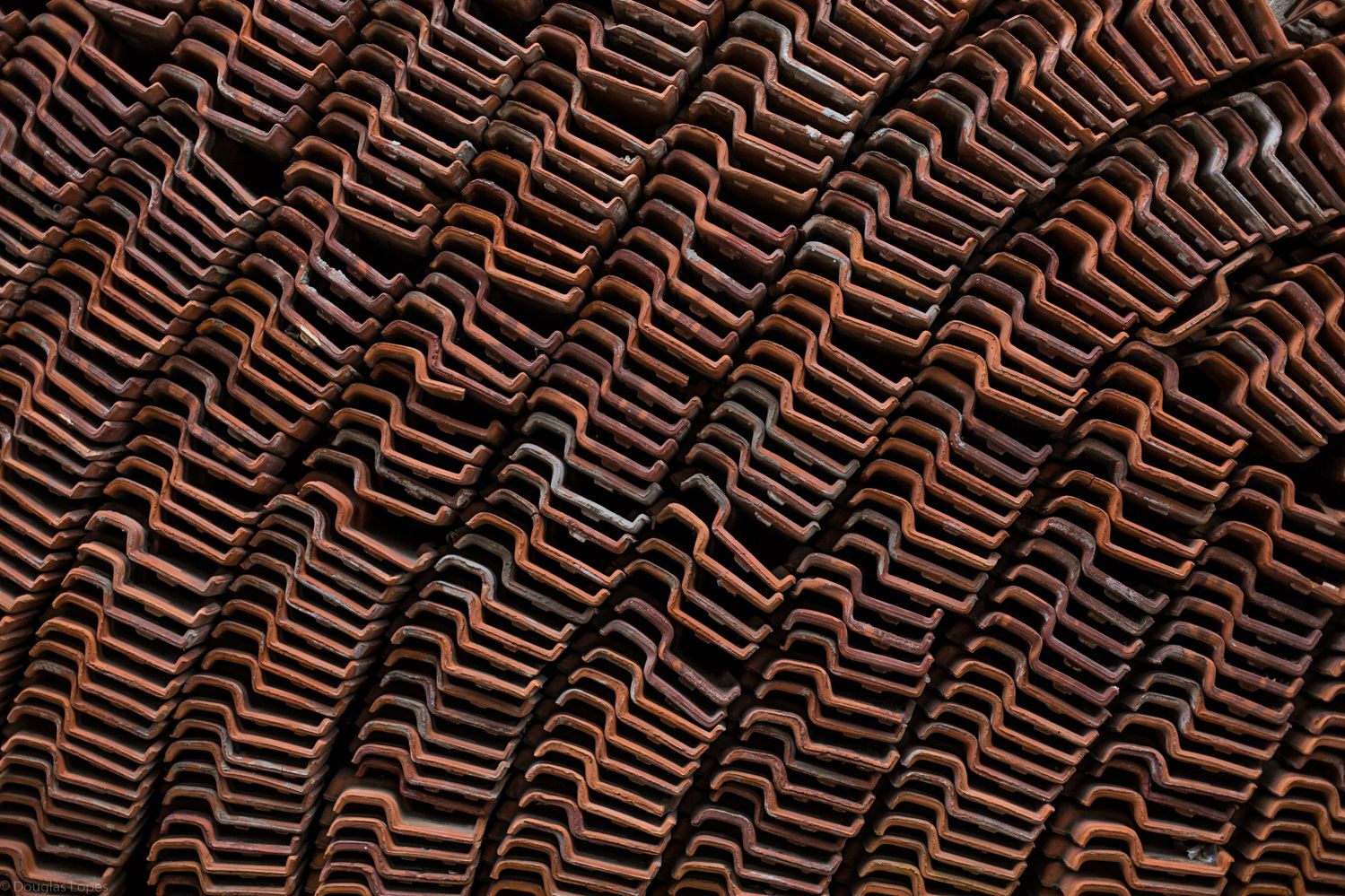 Foto © Douglas Lopes contato@dougloppes.com