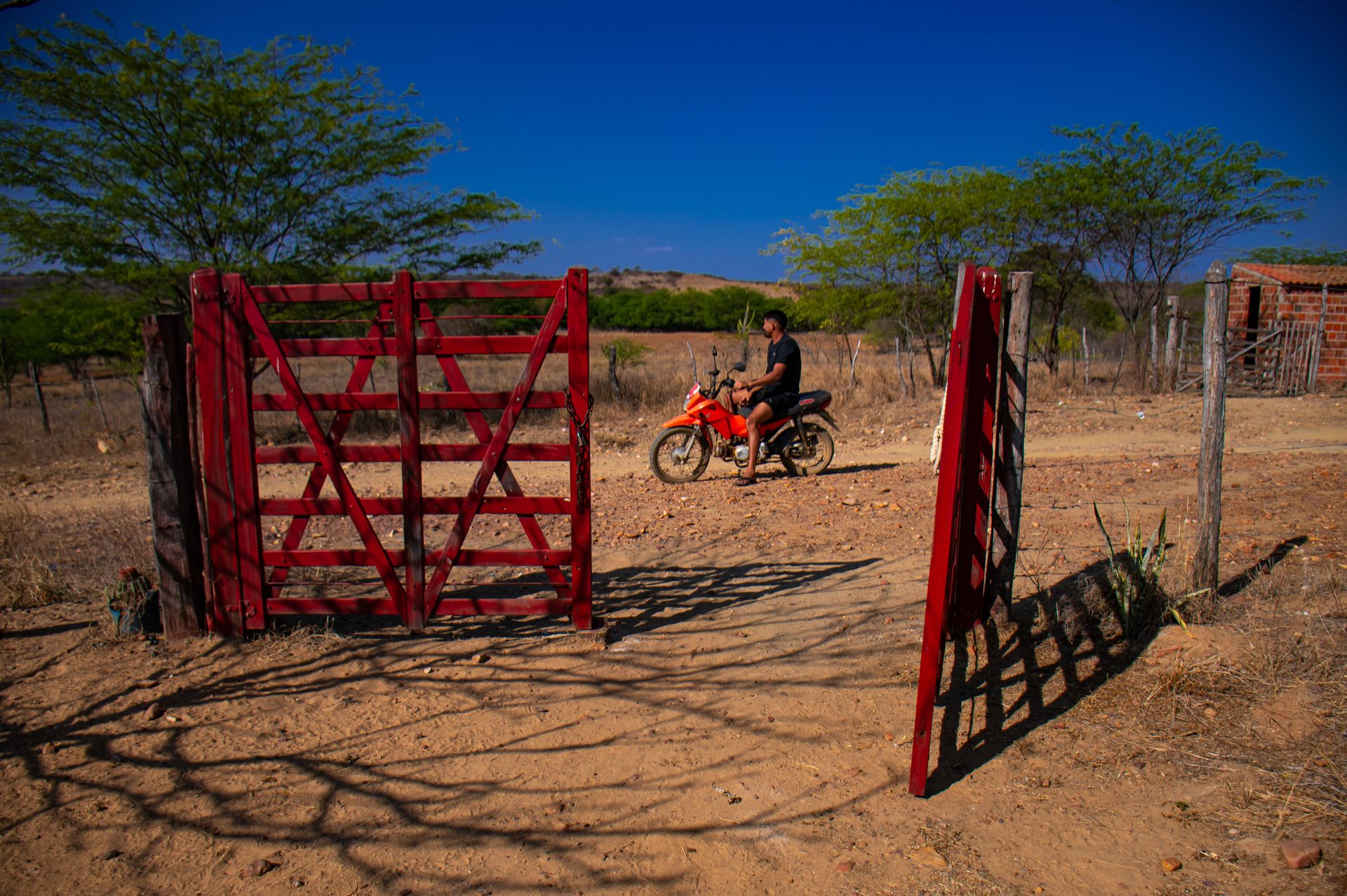 Foto © Douglas Lopes contato@dougloppes.com