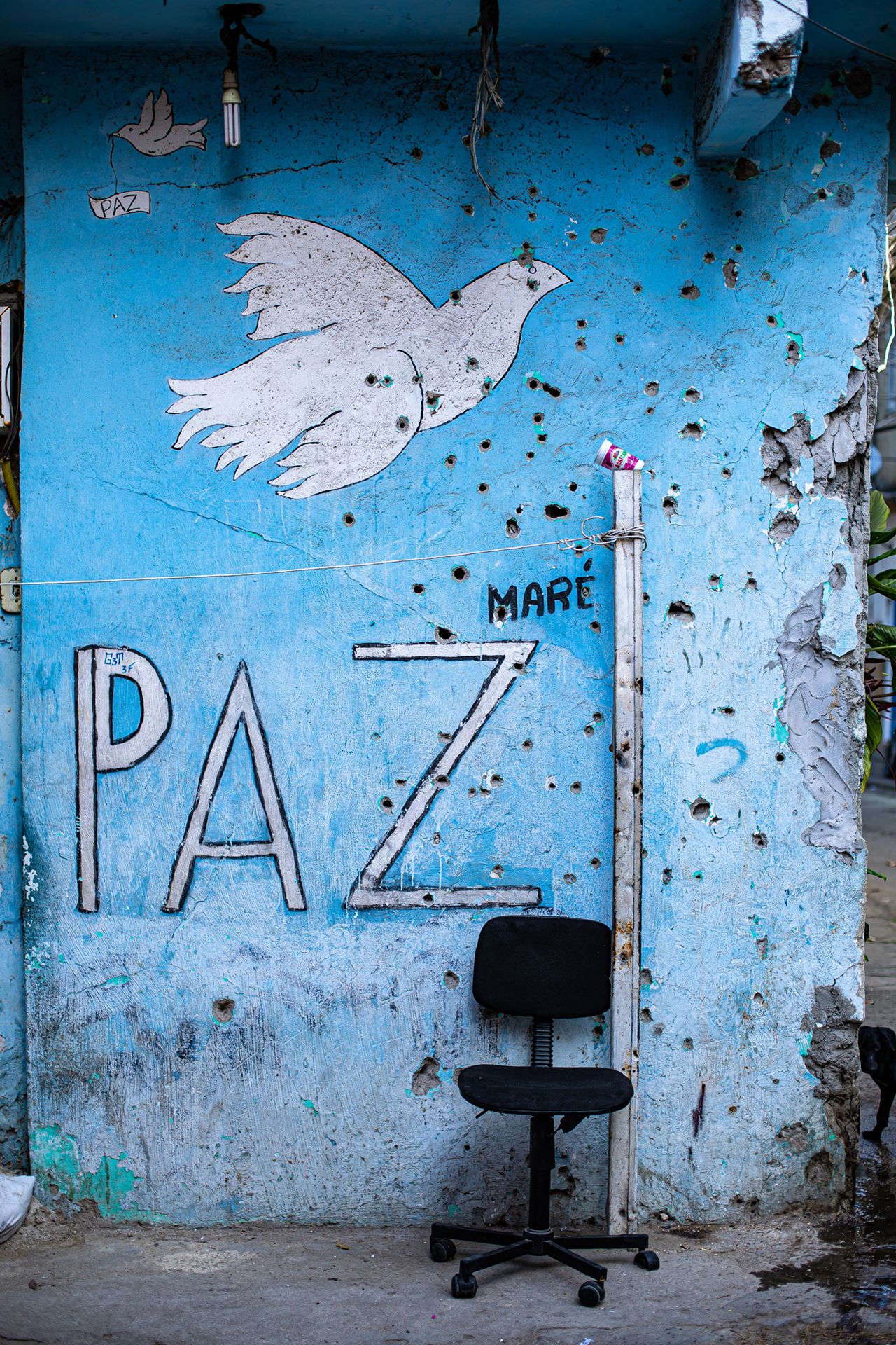 Foto © Douglas Lopes contato@dougloppes.com