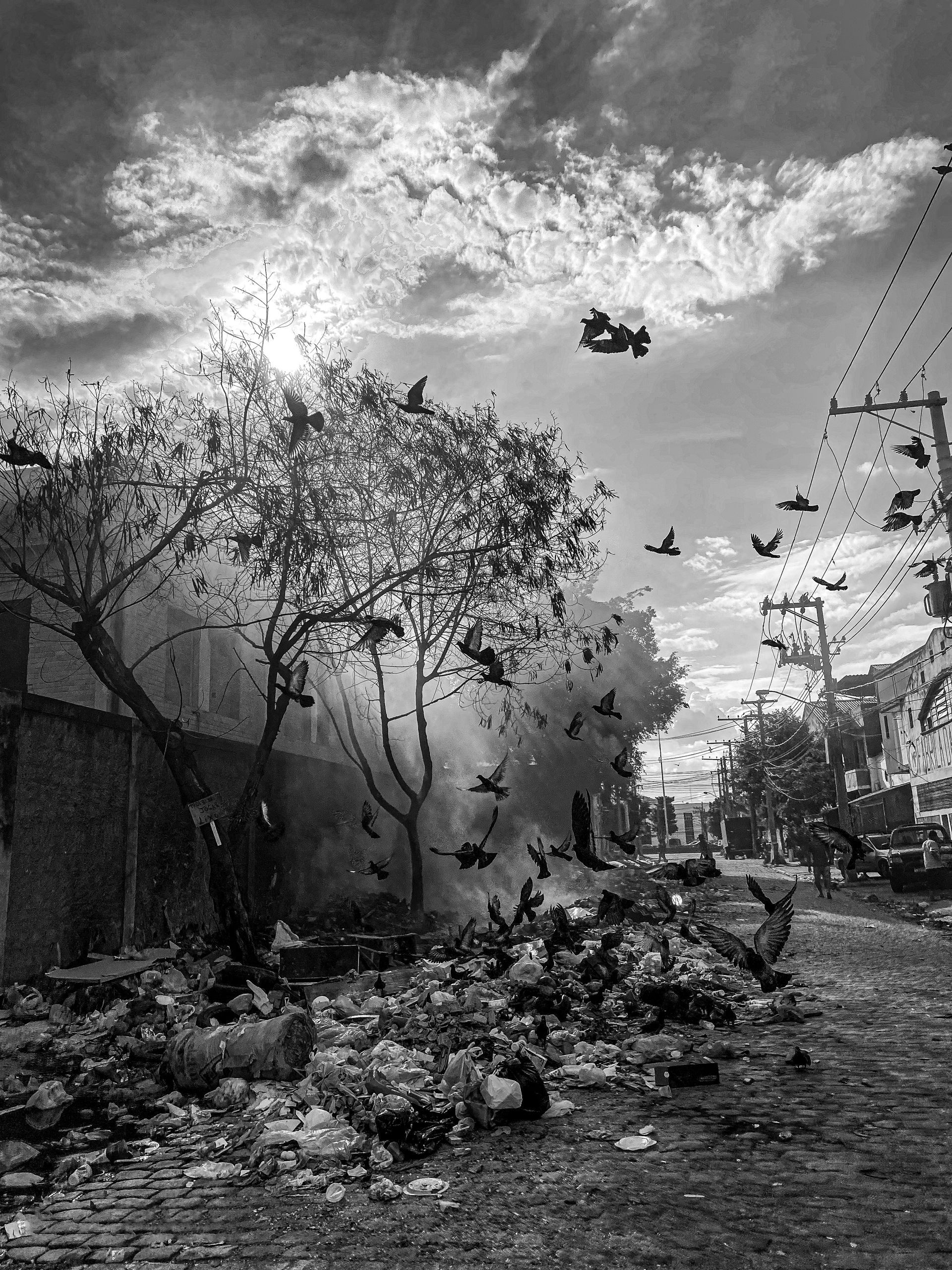 Foto © Douglas Lopes contato@dougloppes.com