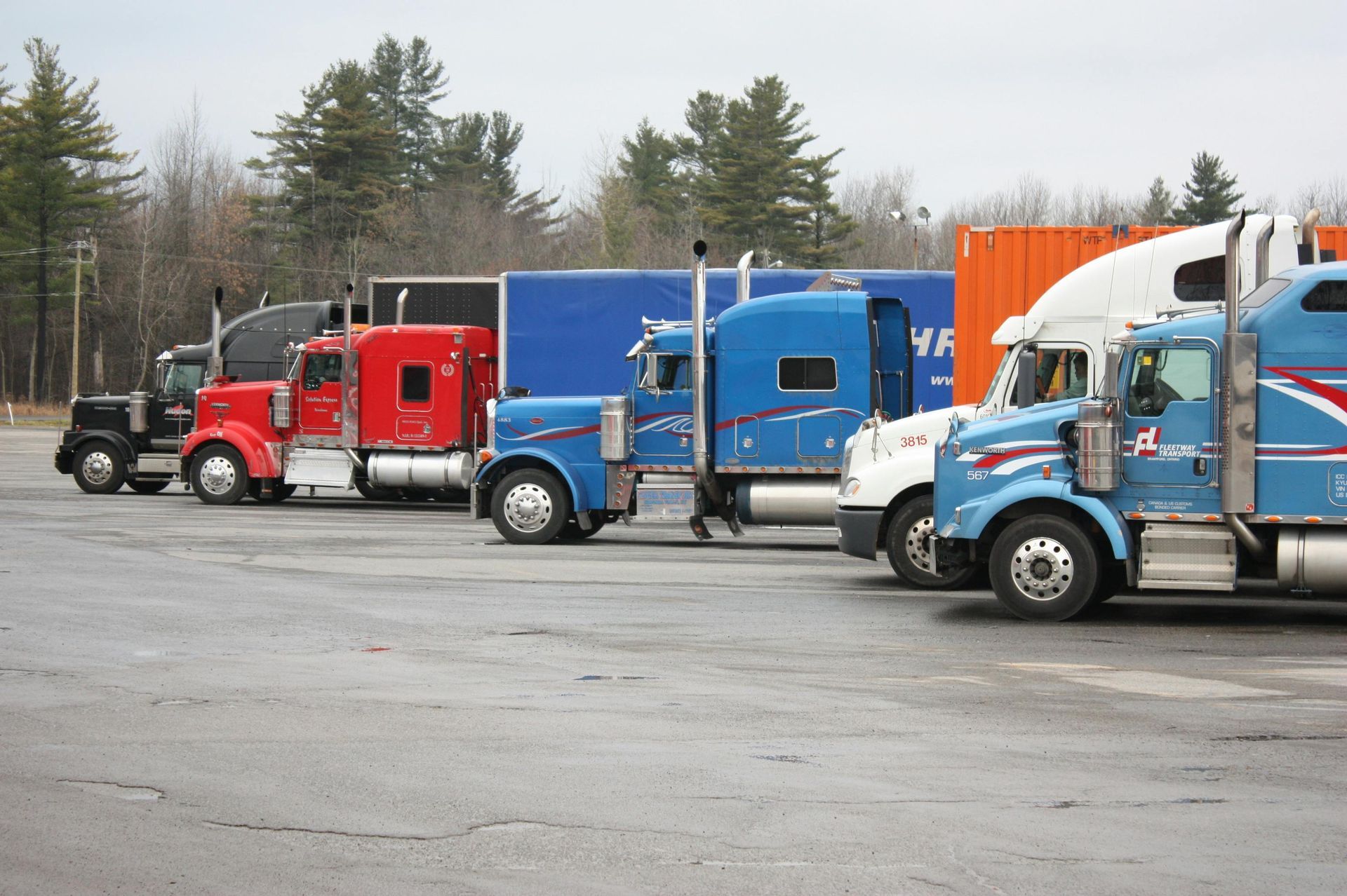 A row of semi-trucks in various colors, including black, red, and blue, parked on an asphalt lot near a forest.