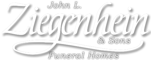 logo-image