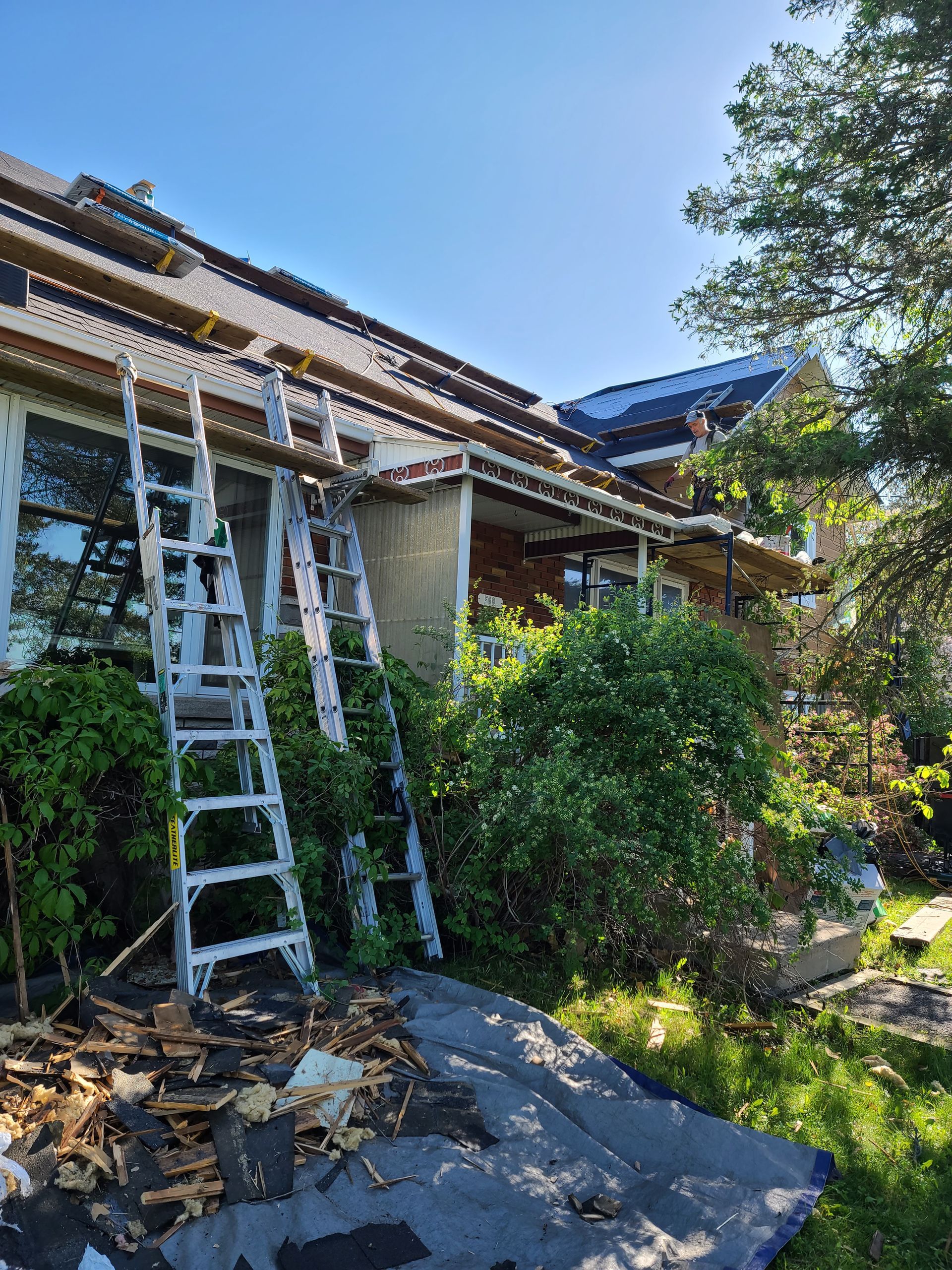 A ladder is leaning against the side of a house.