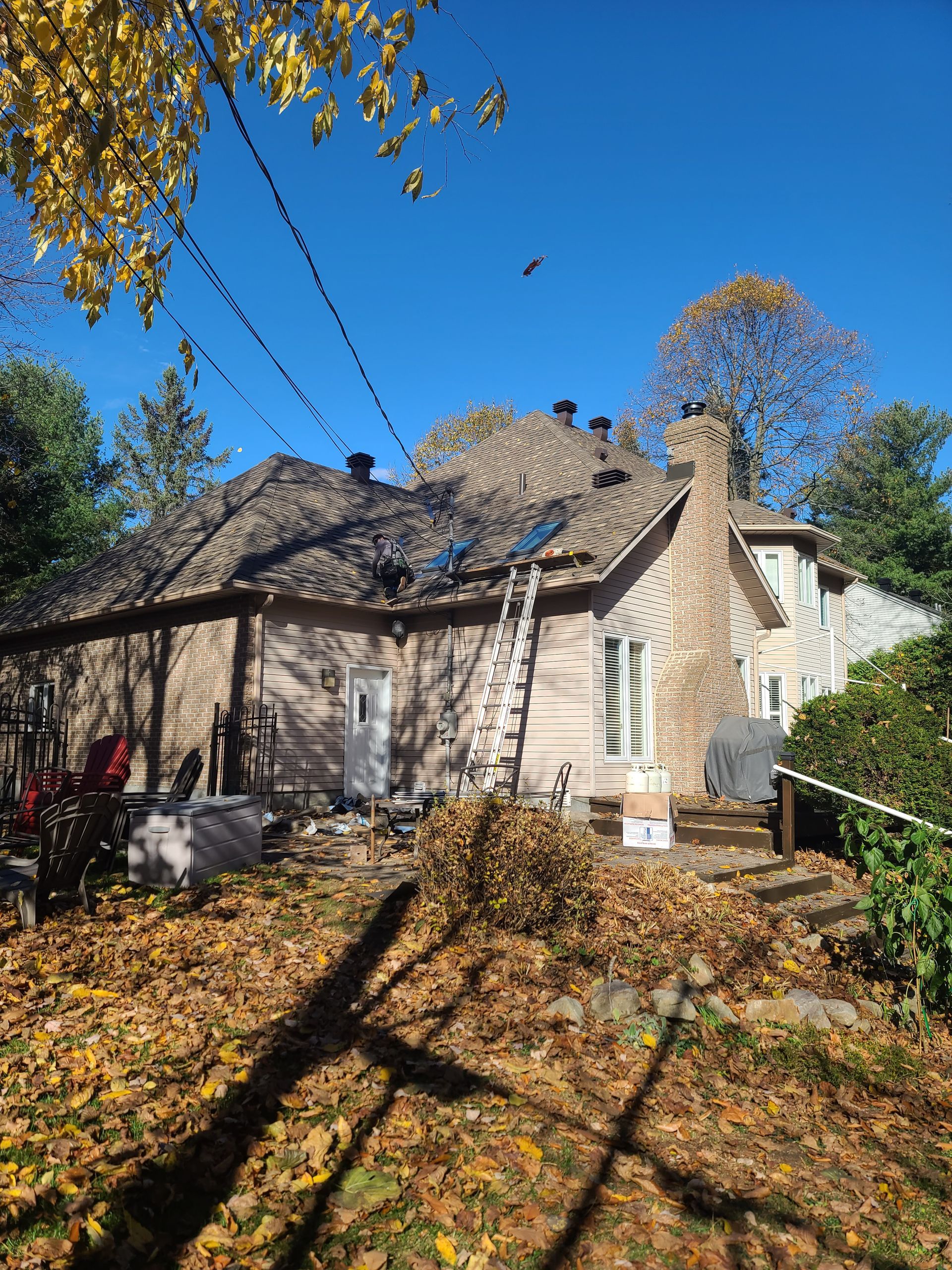 A house with a roof that is covered in leaves and a ladder in the backyard.