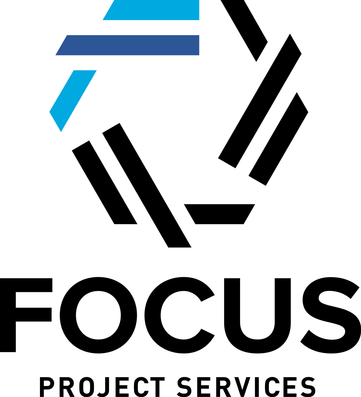 Focus Project Services