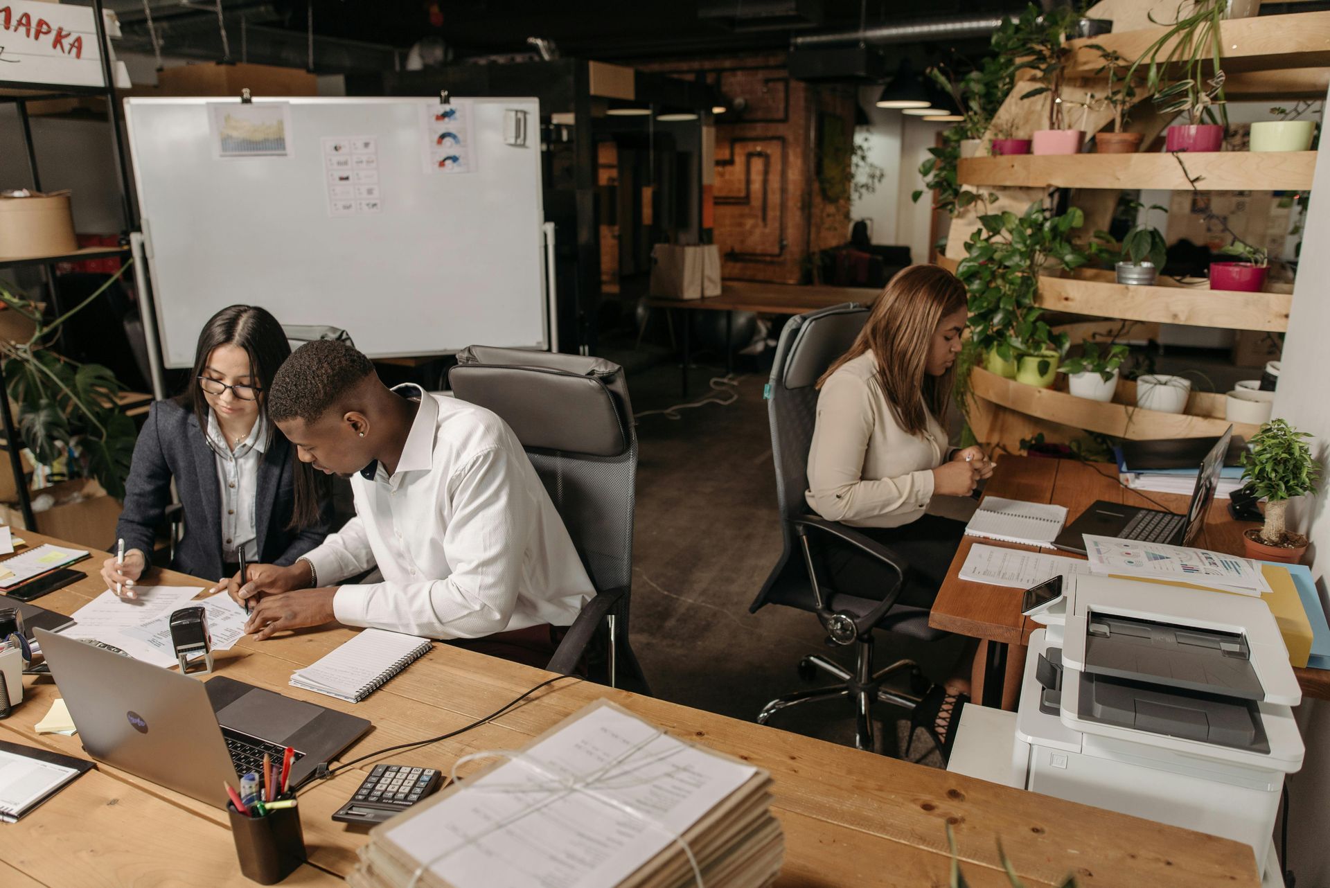 Two coworkers collaborating at a desk in a warm, plant-filled office with laptops and papers