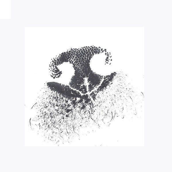 a gray circle with a paw print and the word name on it .