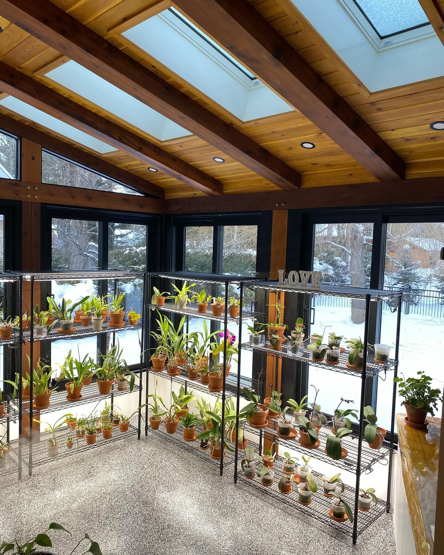 Sunlit indoor greenhouse with rows of potted plants on shelves beneath skylights