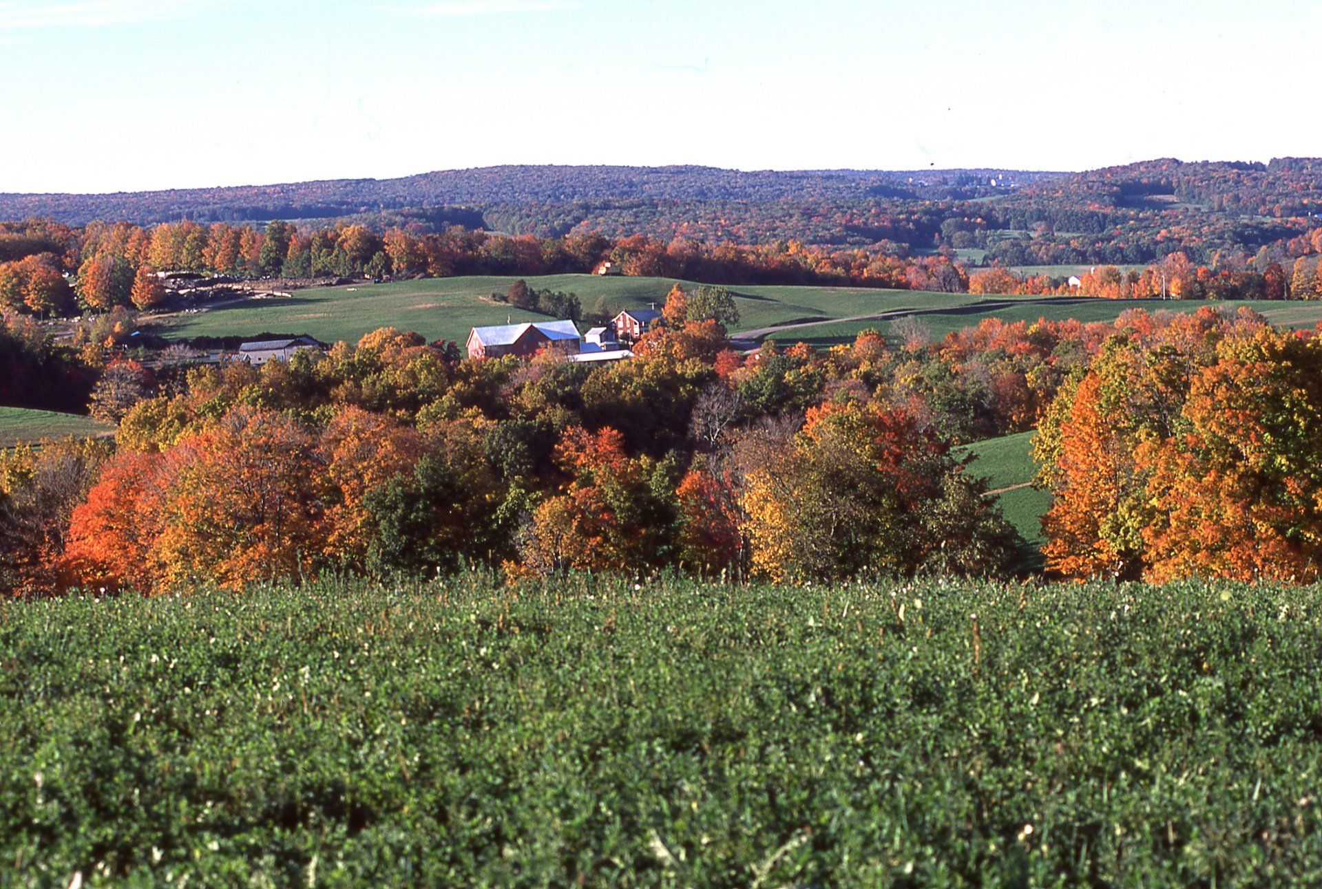 field
