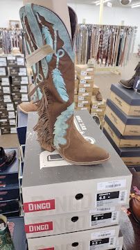 Brown-and-blue cowboy boots displayed on stacked Dingo shoe boxes in a store.