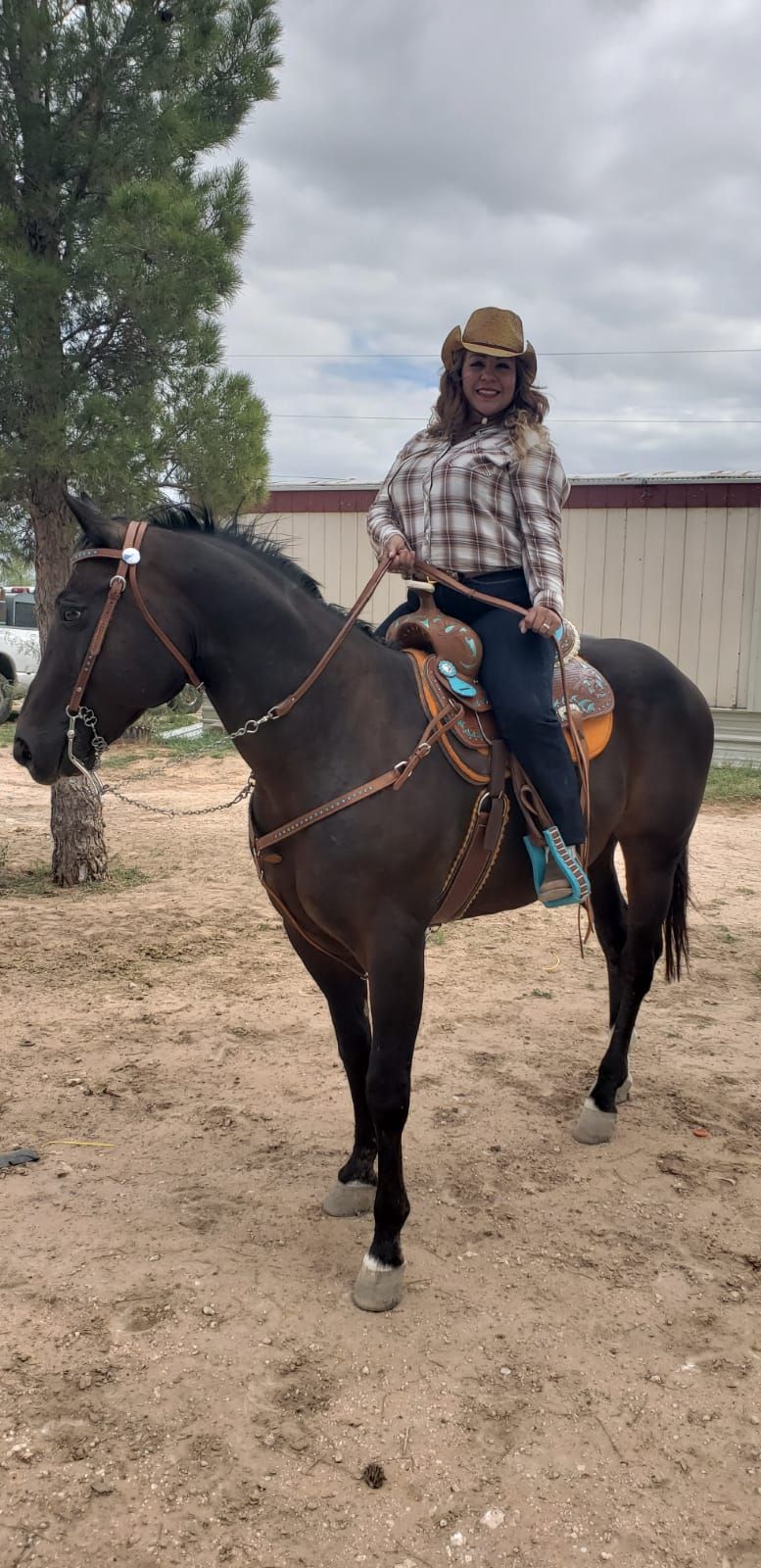 Person in helmet riding a dark horse on a sandy trail beside trees and a fence