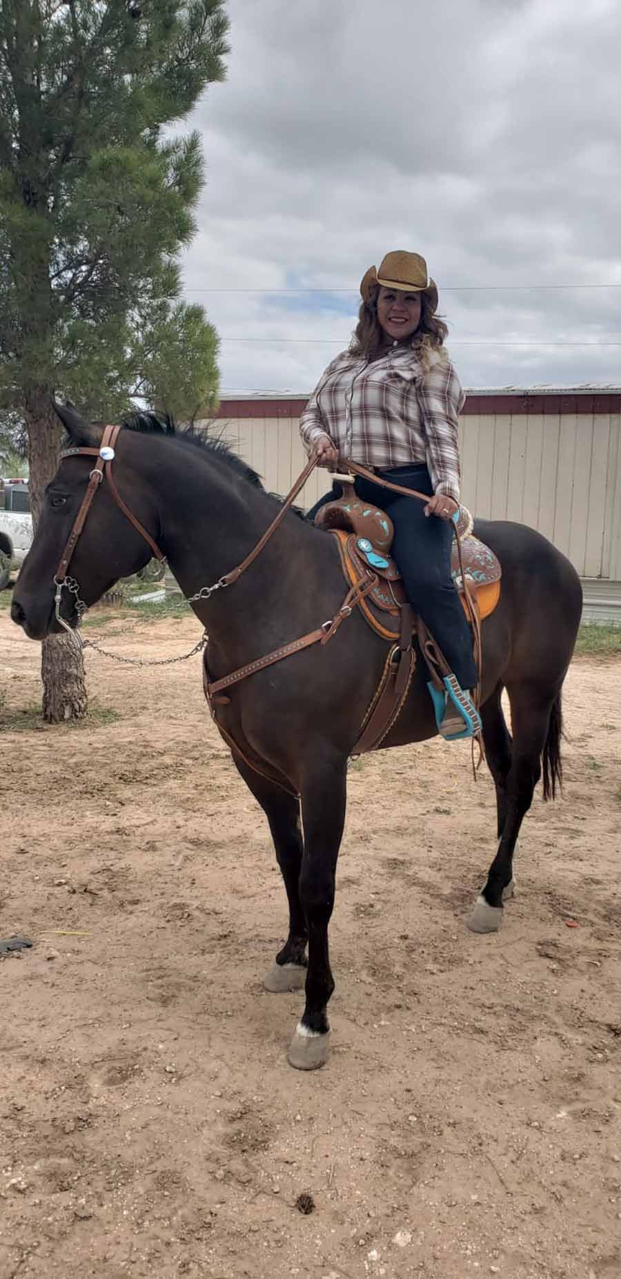 Person on a dark horse in a plaid shirt and helmet, standing on a dirt path outdoors under cloudy skies.
