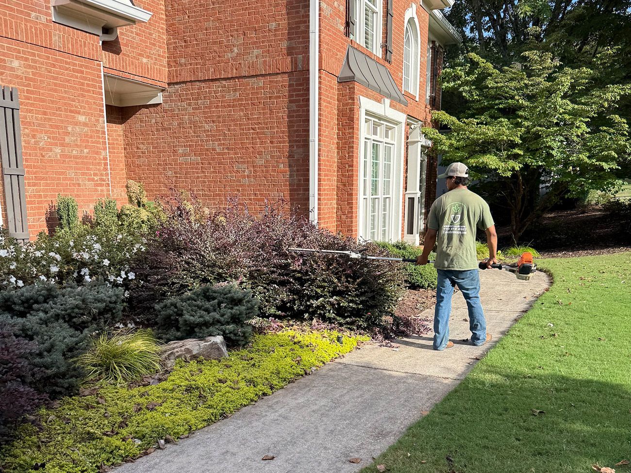 Person walking on a stone path next to a house with landscaping. Green grass and shrubs surround the path.