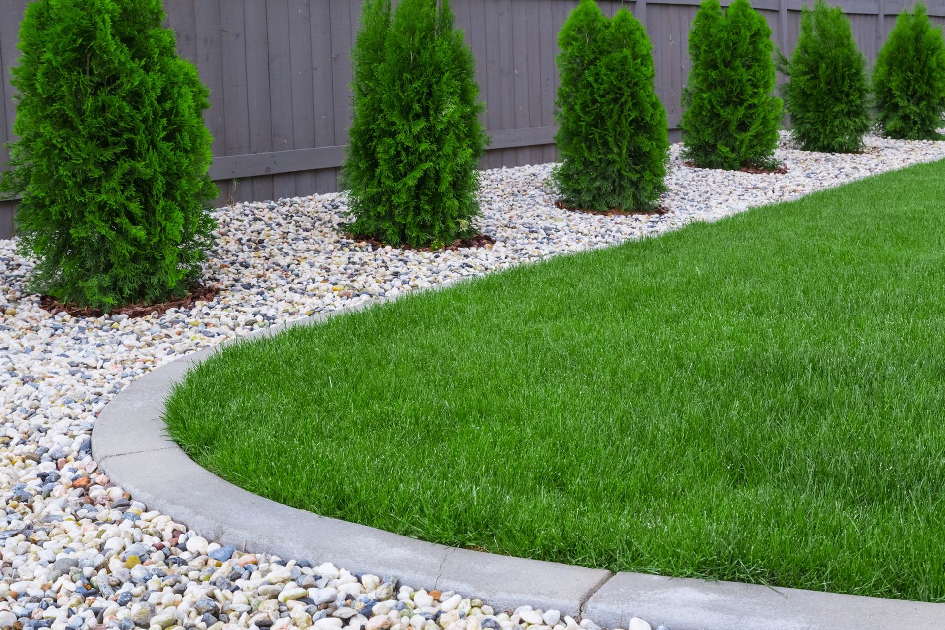 Lush green lawn curving next to a bed of white stones and evergreen shrubs, set against a wooden fence.