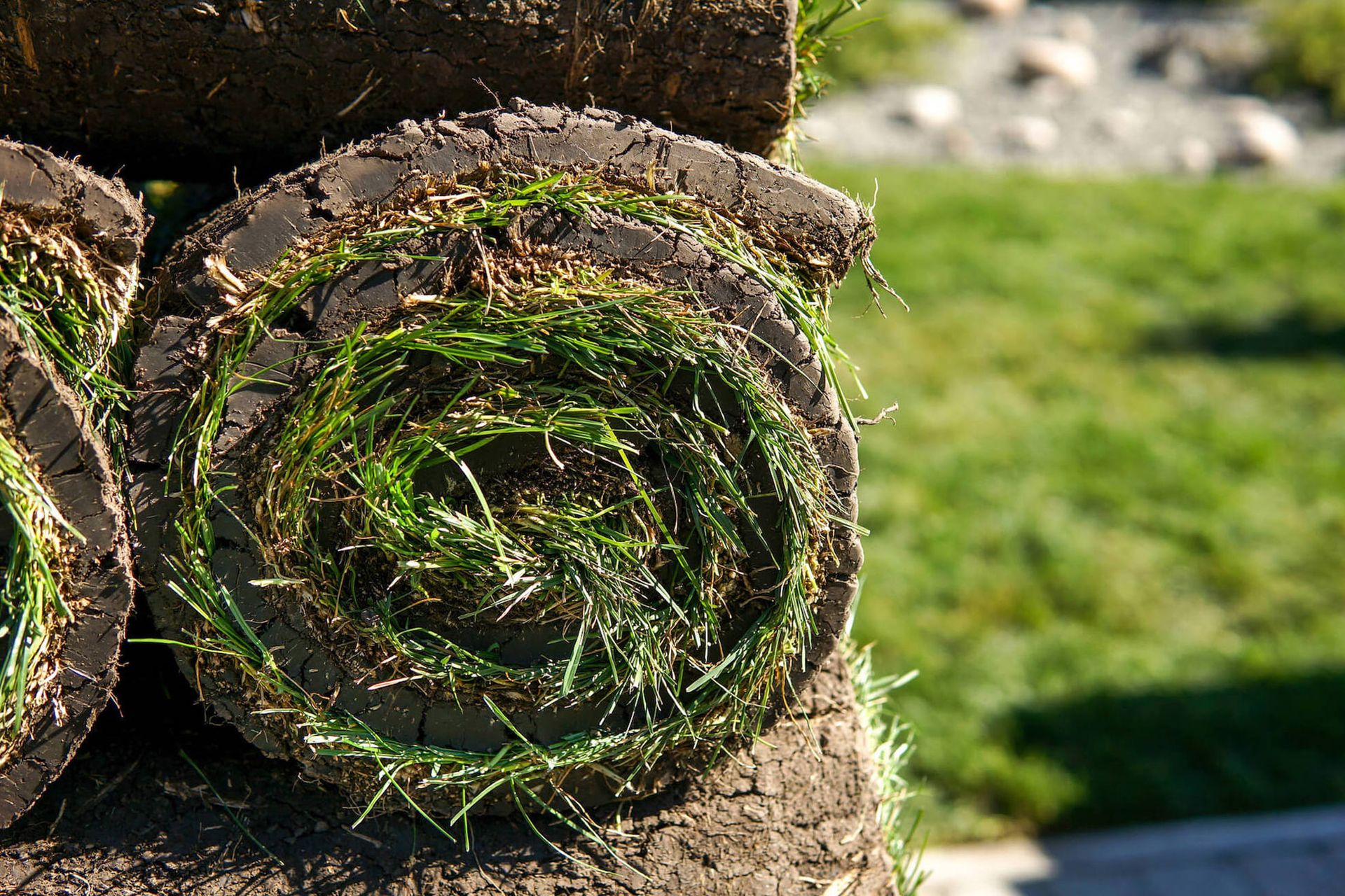 Close-up of rolled-up sod; green grass and dark soil visible. Stacked rolls in outdoor setting.