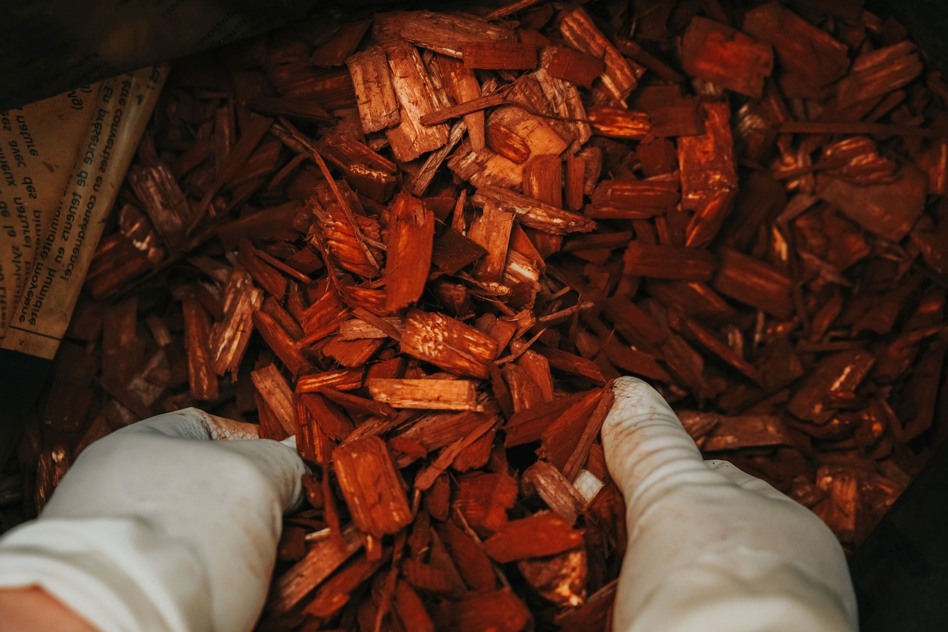 Hands in white gloves sift through red-brown wood chips inside a dark container.