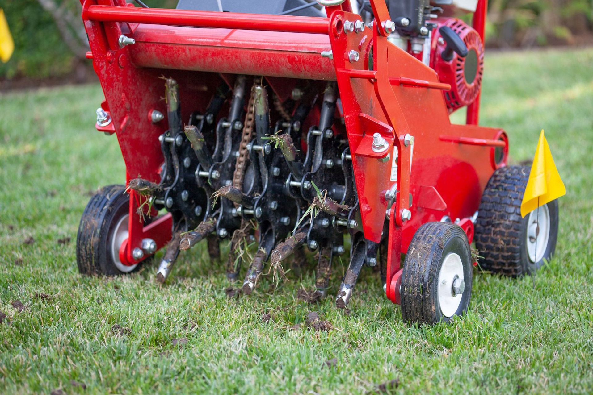 Red lawn aerator on green grass, pulling up soil plugs.