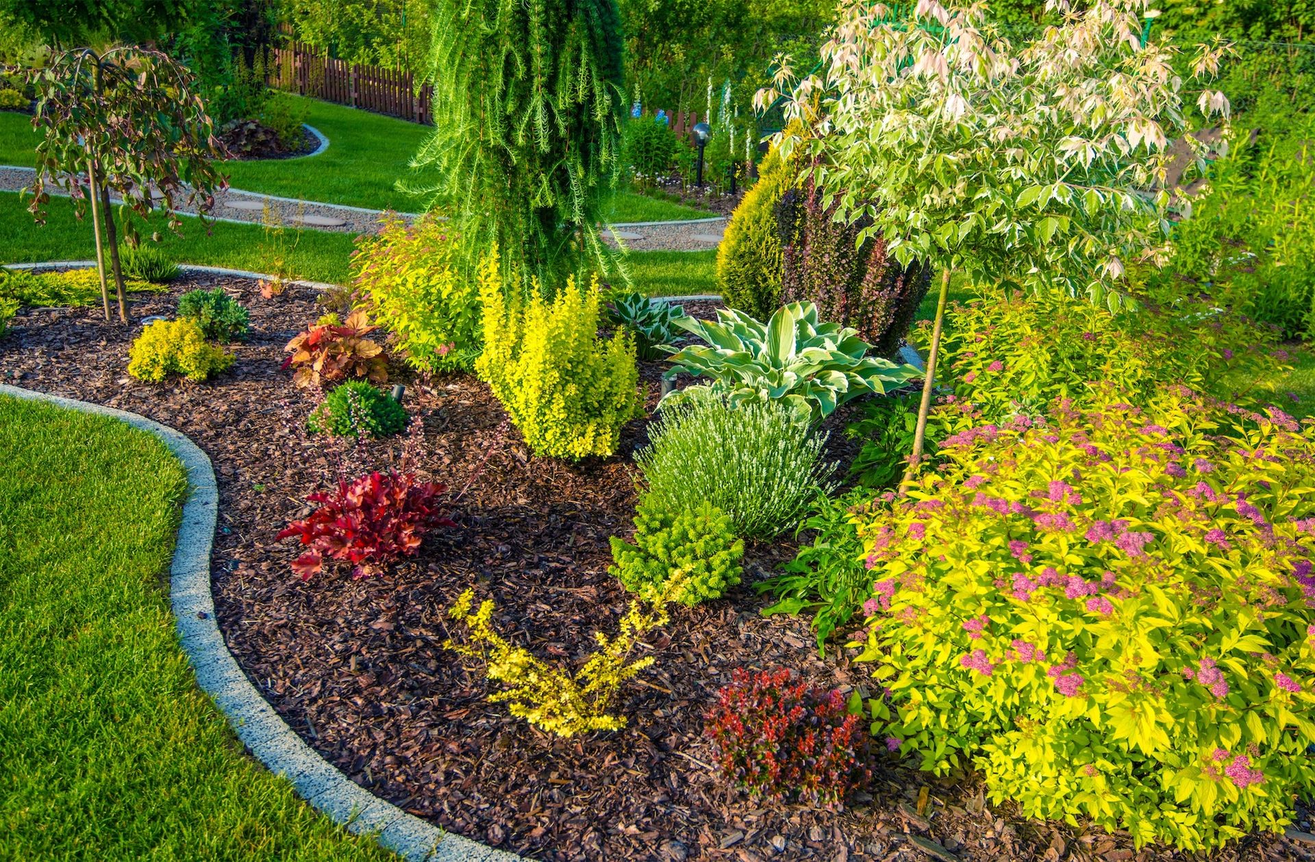 A colorful garden bed with various plants and dark mulch, bordered by green grass and a concrete edge.