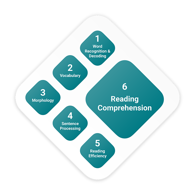 Capti Assess Subtests