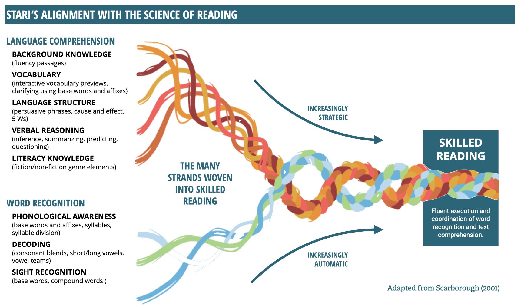 Diagram showing the alignment of language comprehension and word recognition strands merging into skilled reading.