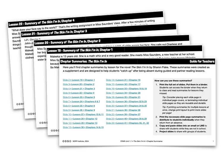 Novel Summaries
