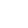 Design Icon