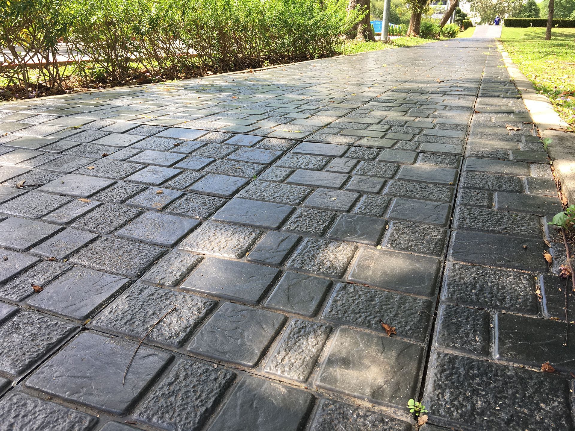 A brick walkway leading to a park with trees on both sides.