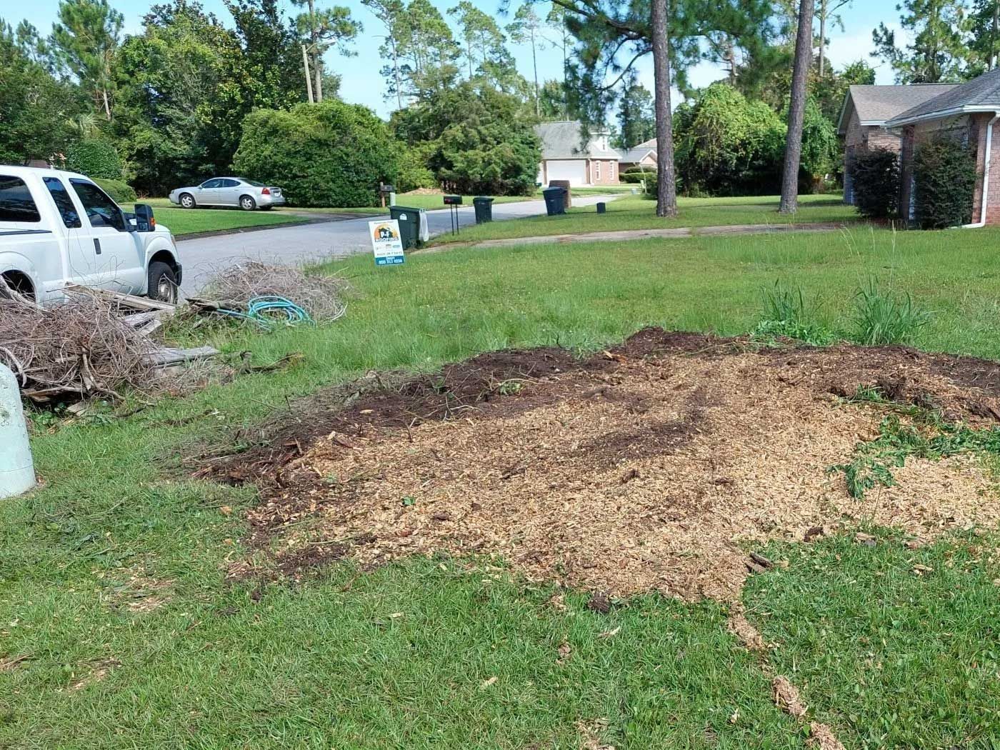 Stump Grinding  2