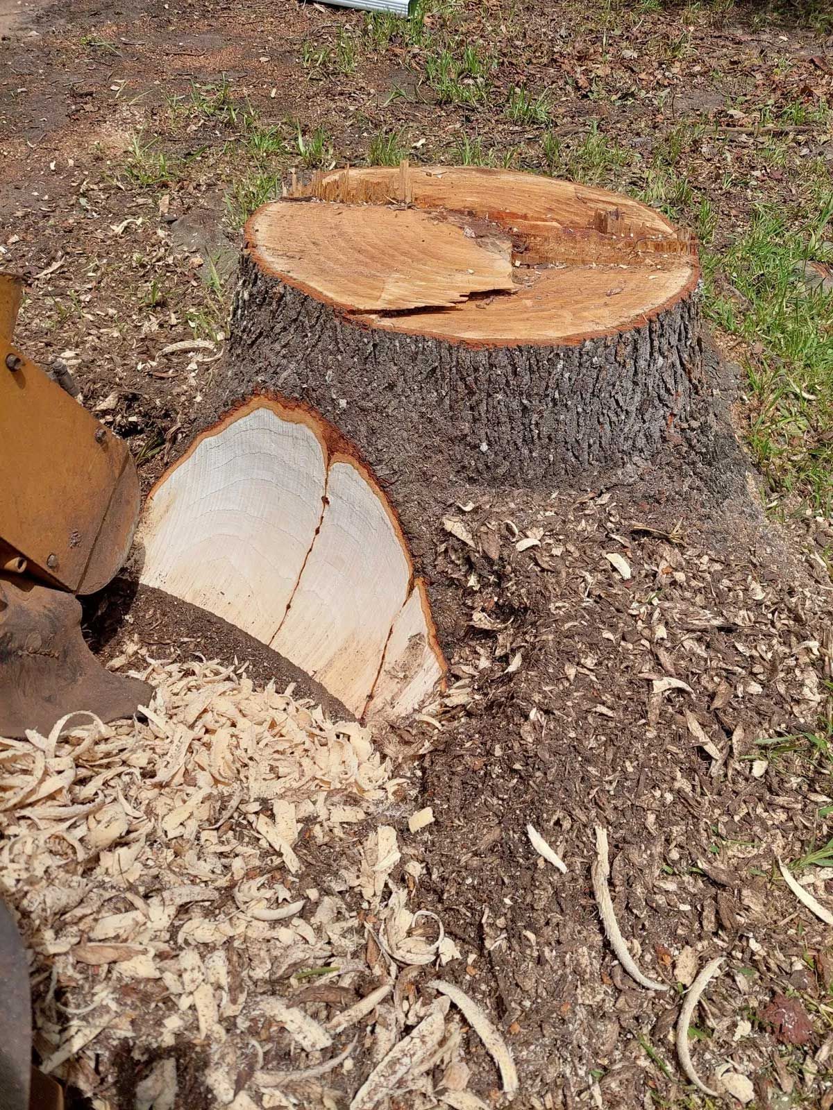 Stump Grinding  4