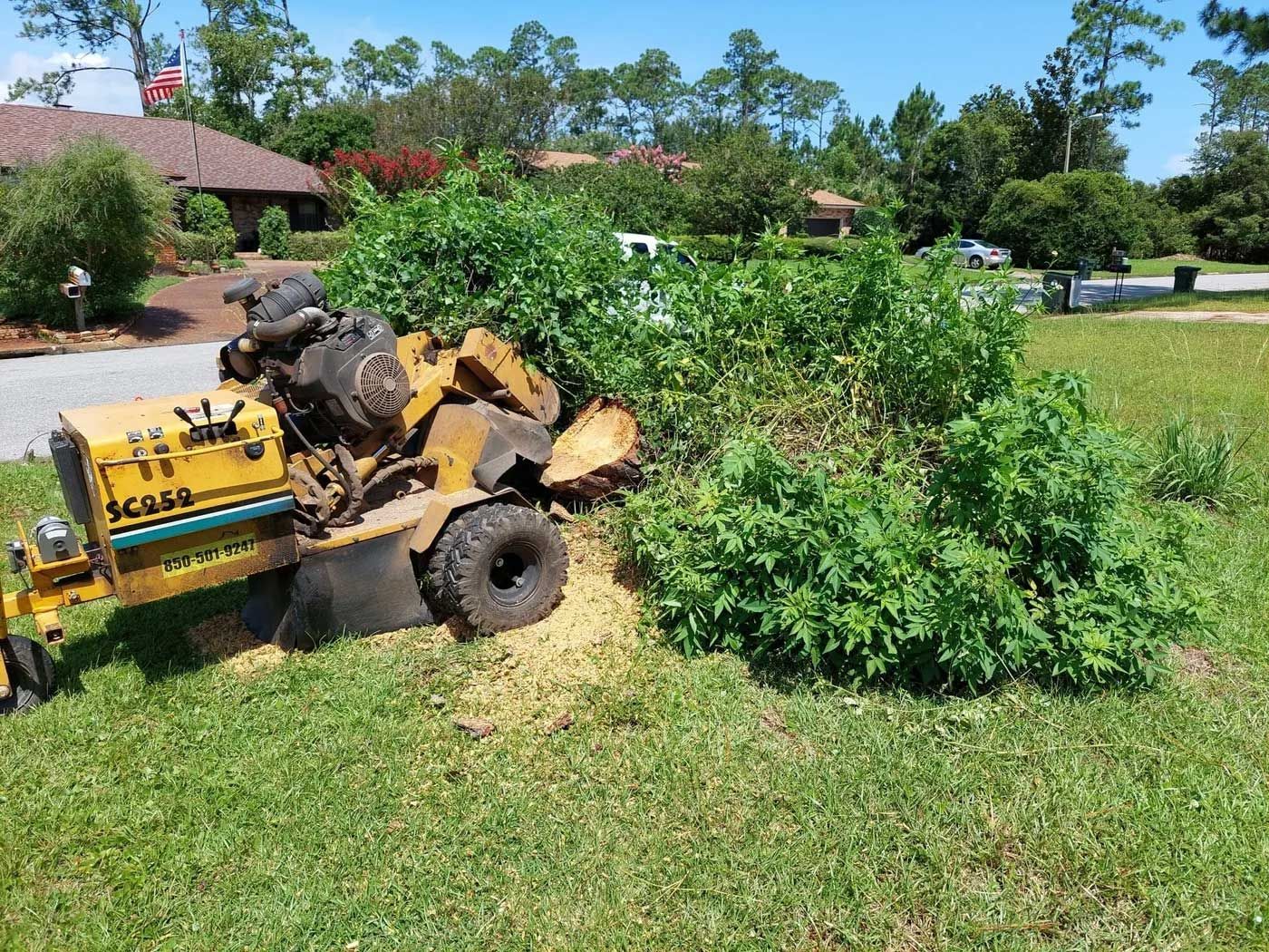 Stump Grinding  7