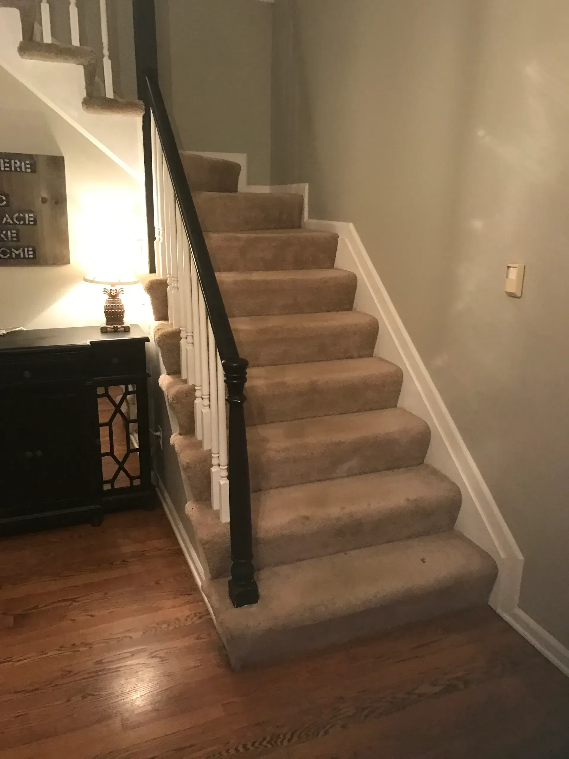 Staircase with beige carpet and a dark railing, leading up to a second level.