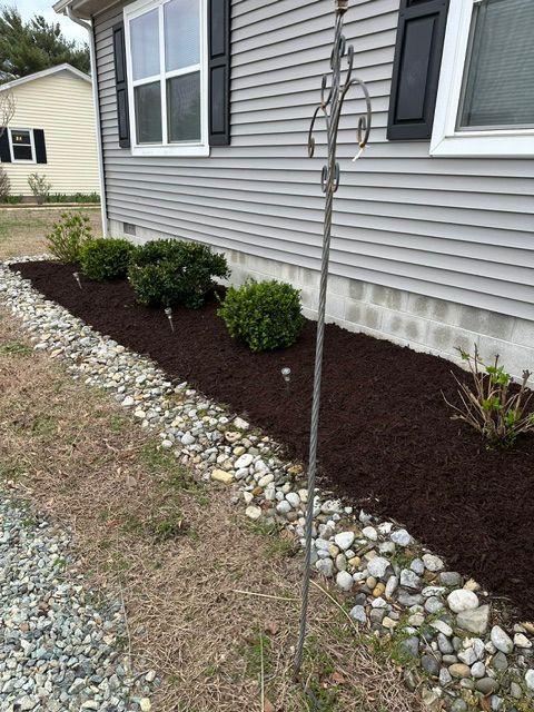 Mulched foundation bed with small shrubs beside a gray house and gravel driveway.