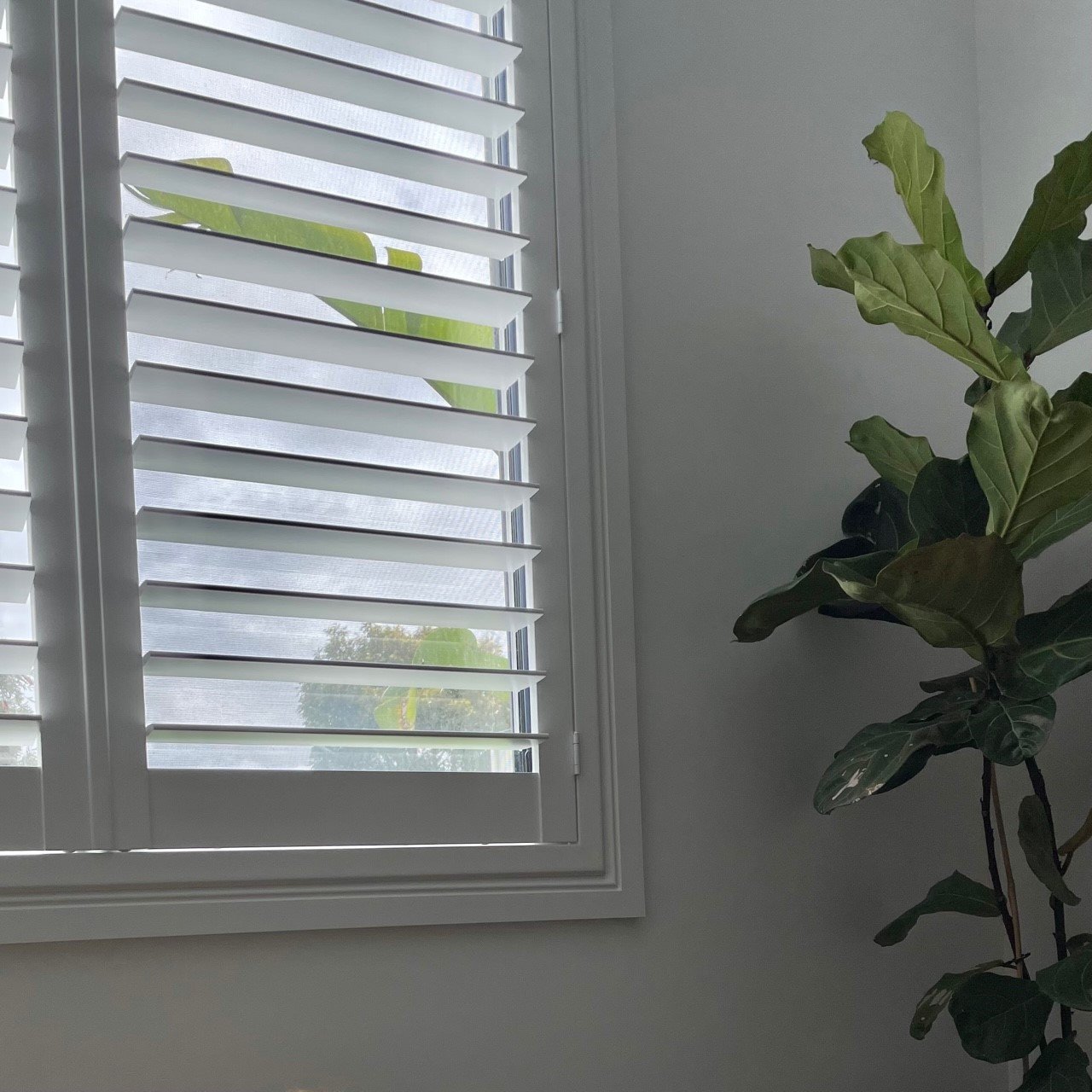 M&M Blinds Goolwa, SA Gallery