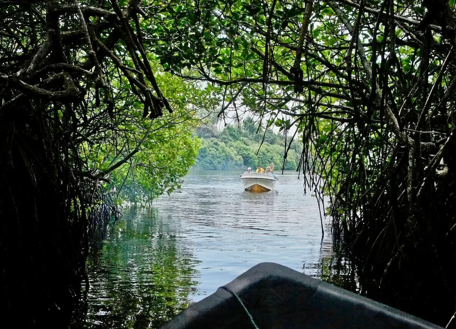 Madu-River-boat-safari-through-mangroves-near-Galle-Sri-Lanka