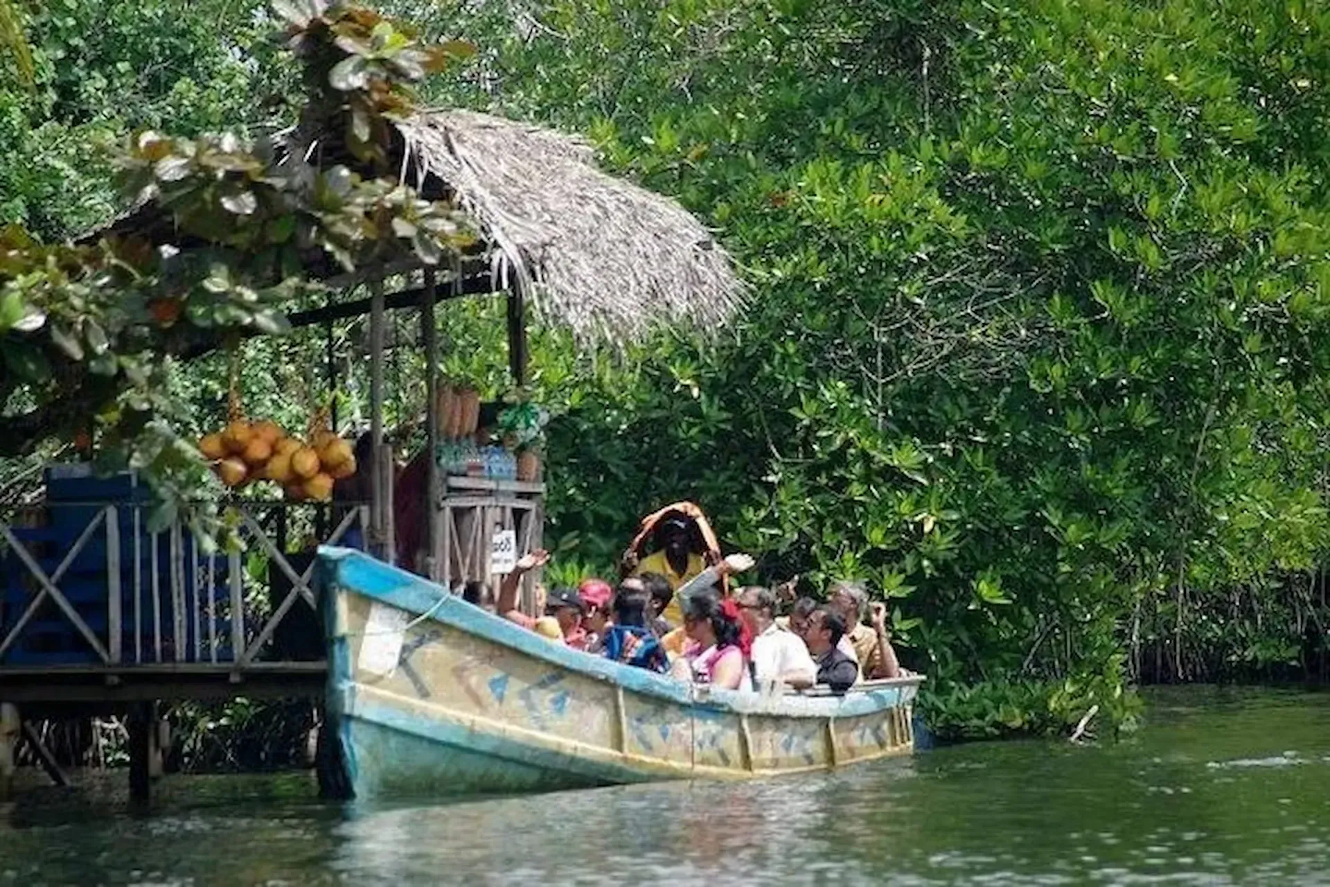 Madu-River-boat-safari-through-mangroves-near-Mirissa-Sri-Lanka