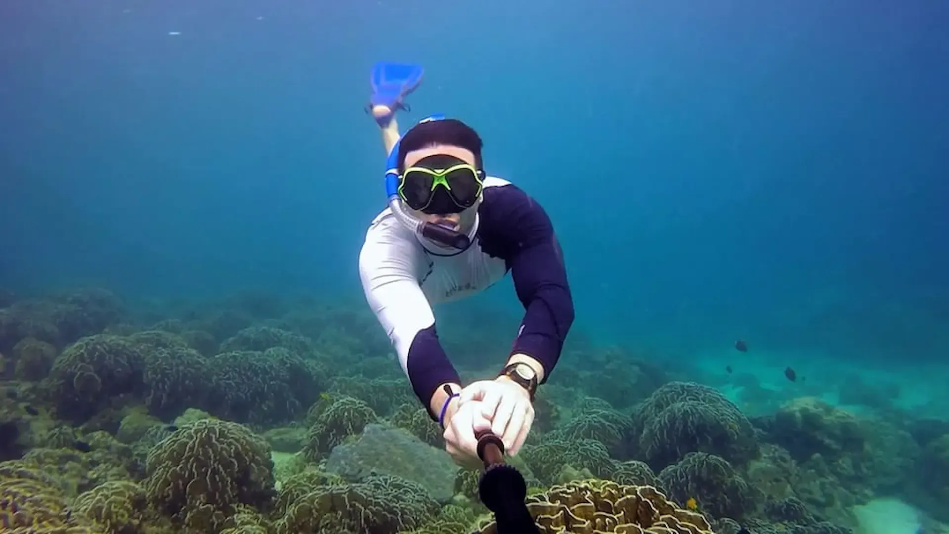 Ocean-experiences-including-snorkeling-whale-watching-and-tropical-beaches-in-Sri-Lanka