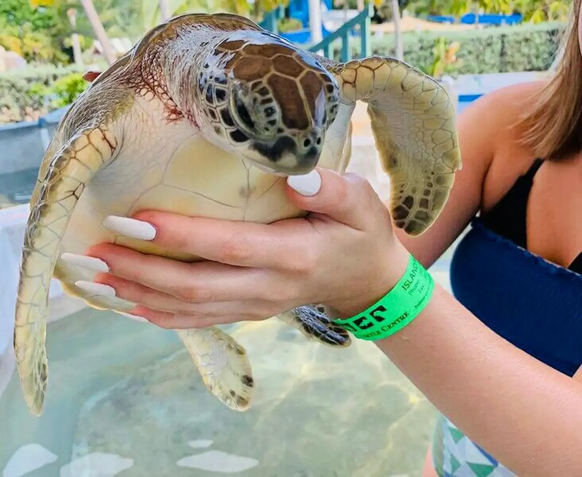 Sea-turtle-watching-experience-near-Mirissa-Sri-Lanka