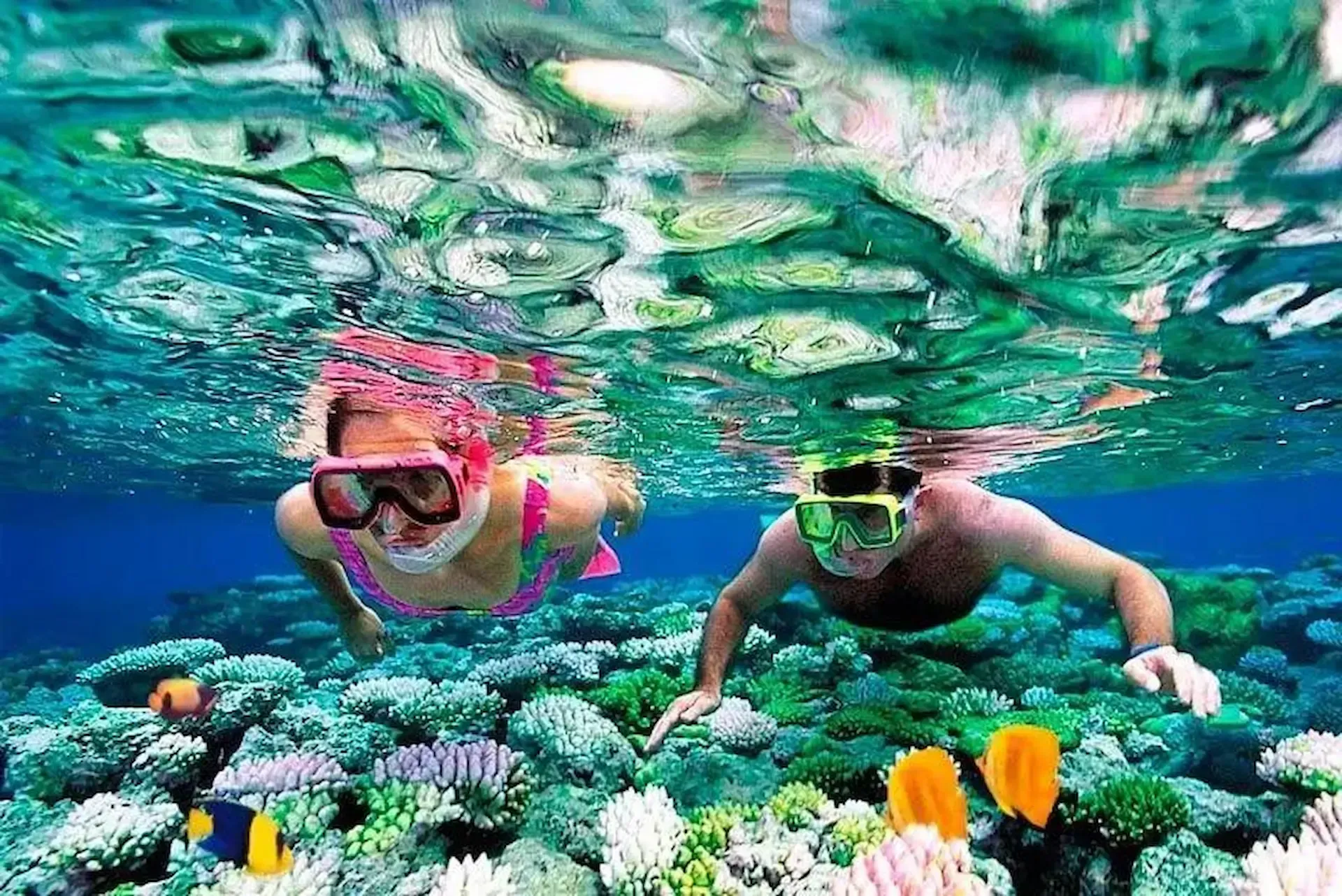 Snorkeling-among-coral-reefs-at-Pigeon-Island-Trincomalee-Sri-Lanka