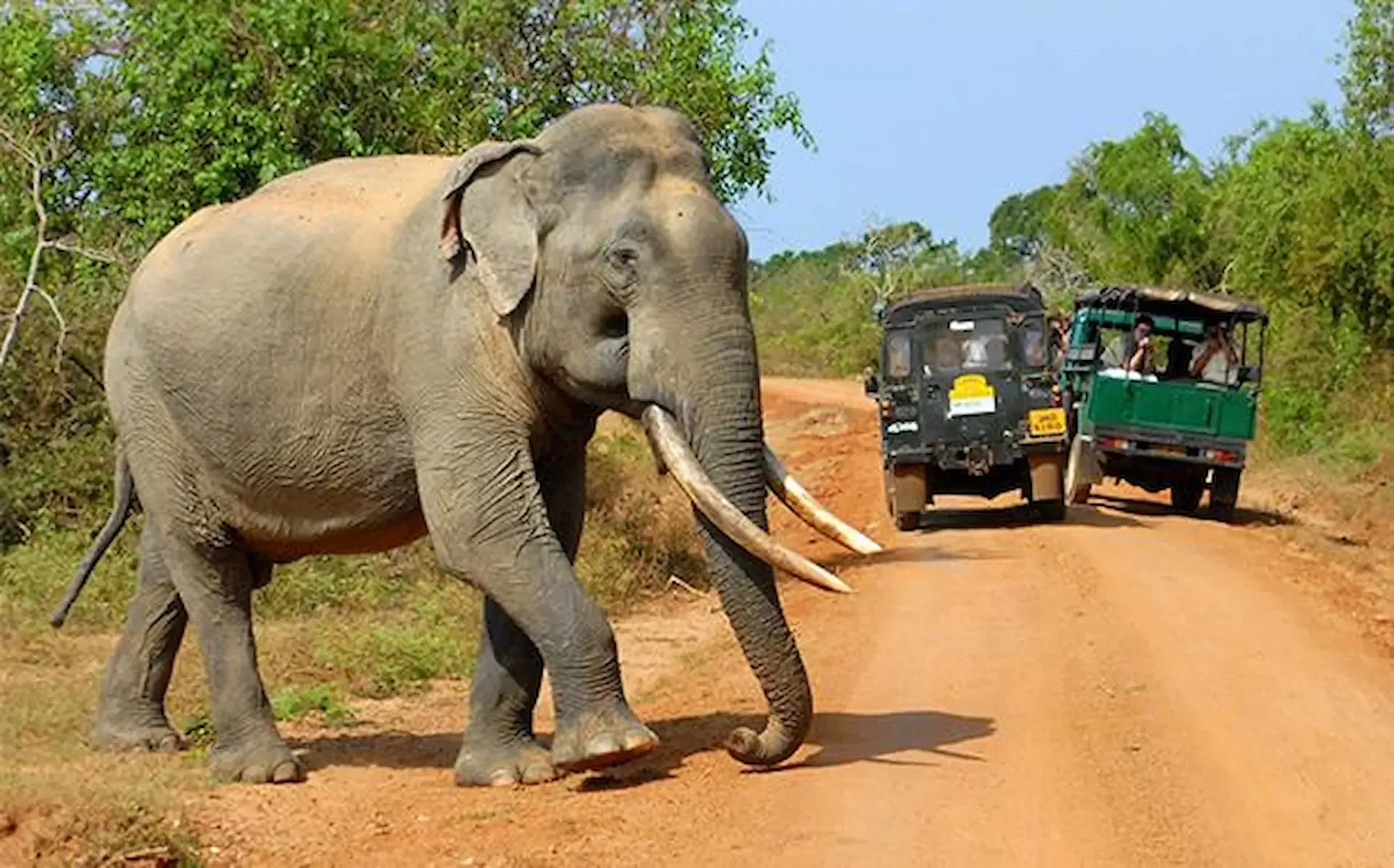 Top-attractions-and-wildlife-experiences-to-visit-in-Yala-Sri-Lanka