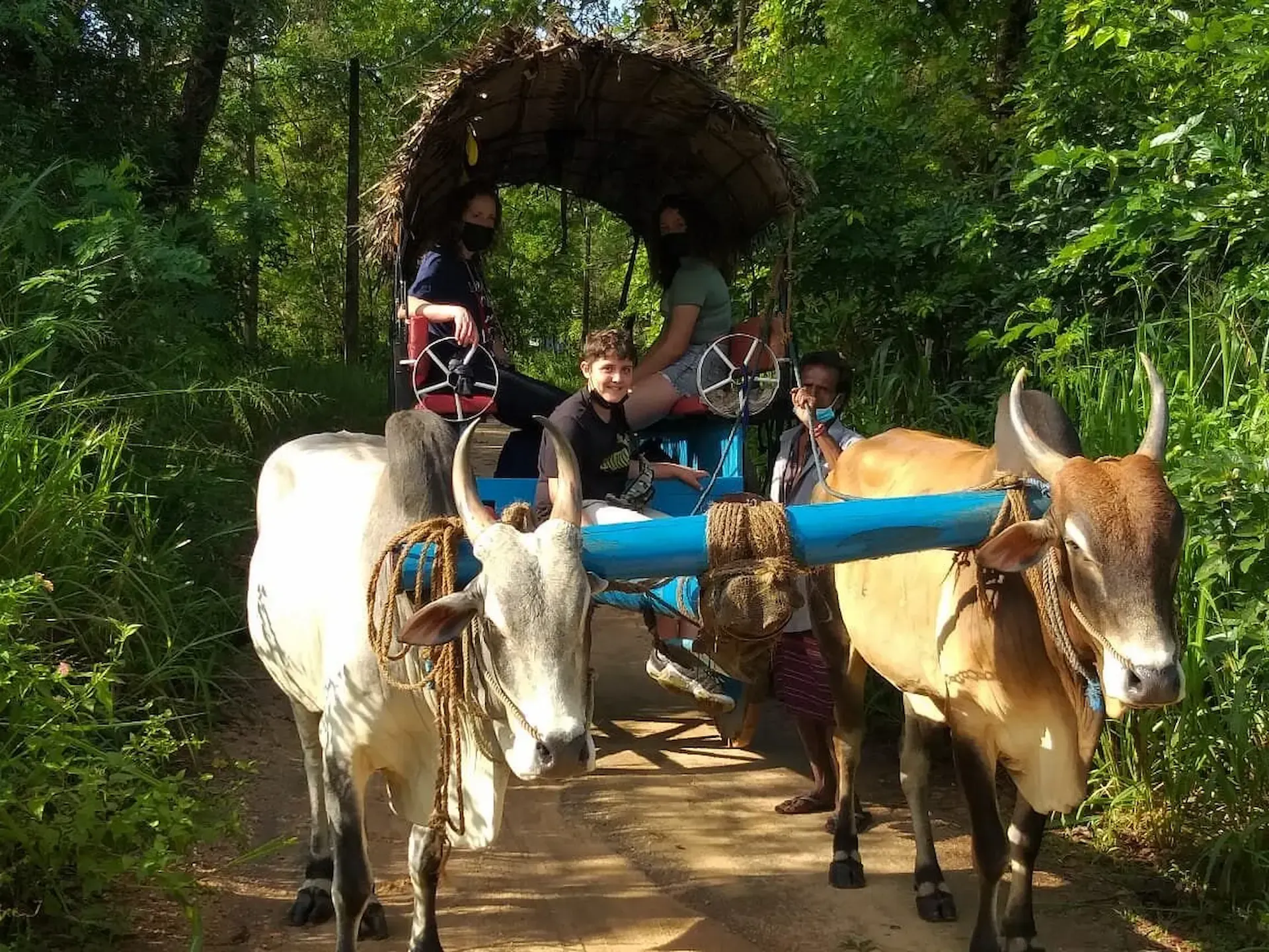Traditional-Sri-Lankan-village-experience-with-local-community-and-countryside