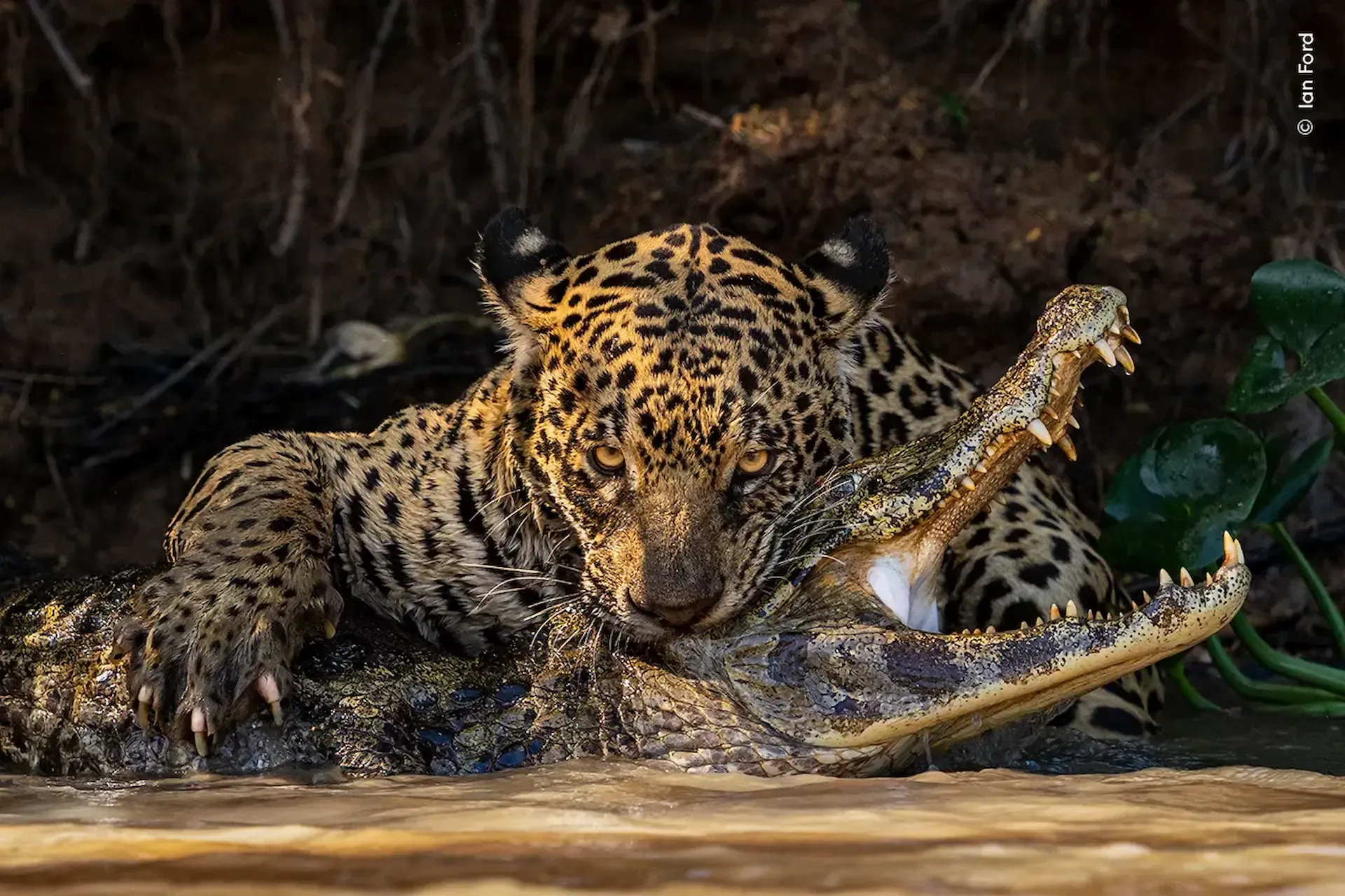 Wildlife-photography-experience-during-Yala-safari-Sri-Lanka