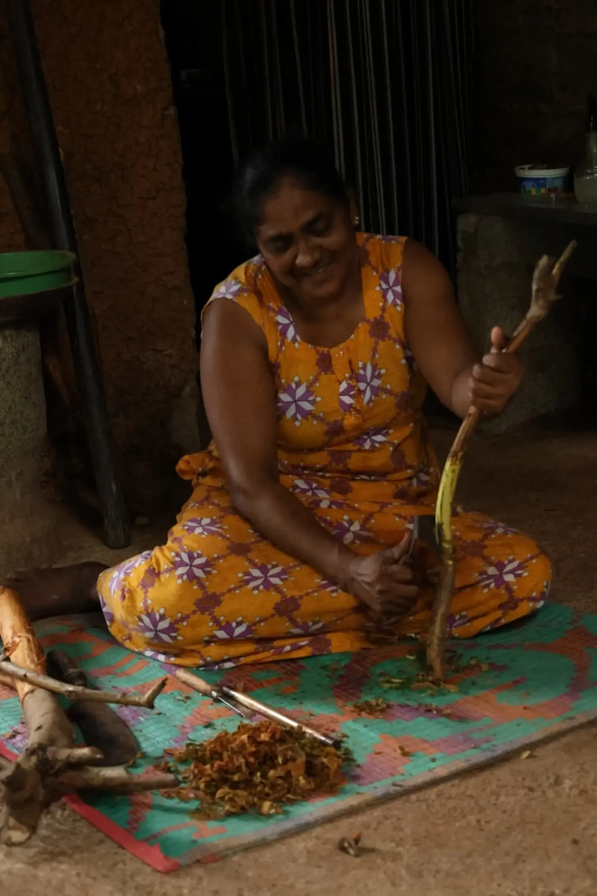 cinnamon-plantation-experience-near-Galle-Sri-Lanka