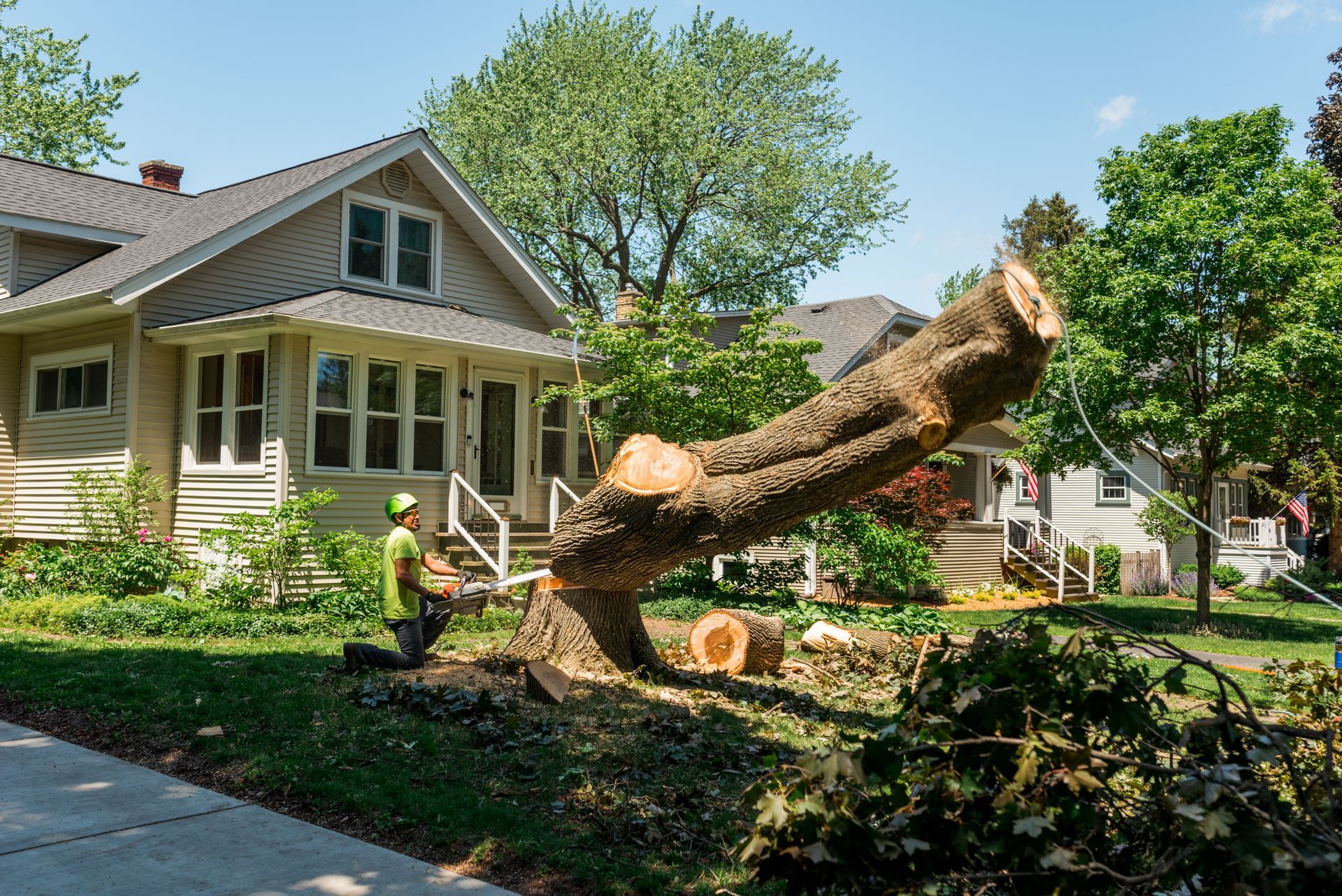 Tree removal crew cutting down a large residential tree safely near suburban homes.