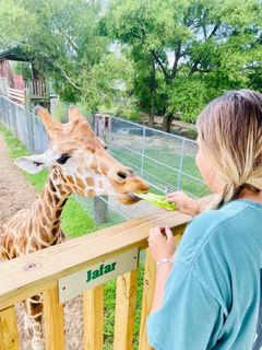 Tupelo Buffalo Park Petting Zoo Feeding