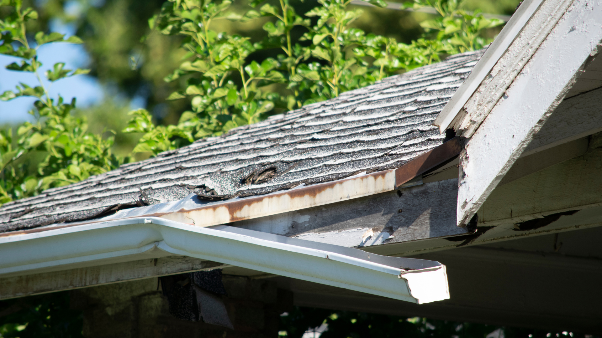 Damaged roof edge with missing shingles and sagging gutter beside green trees