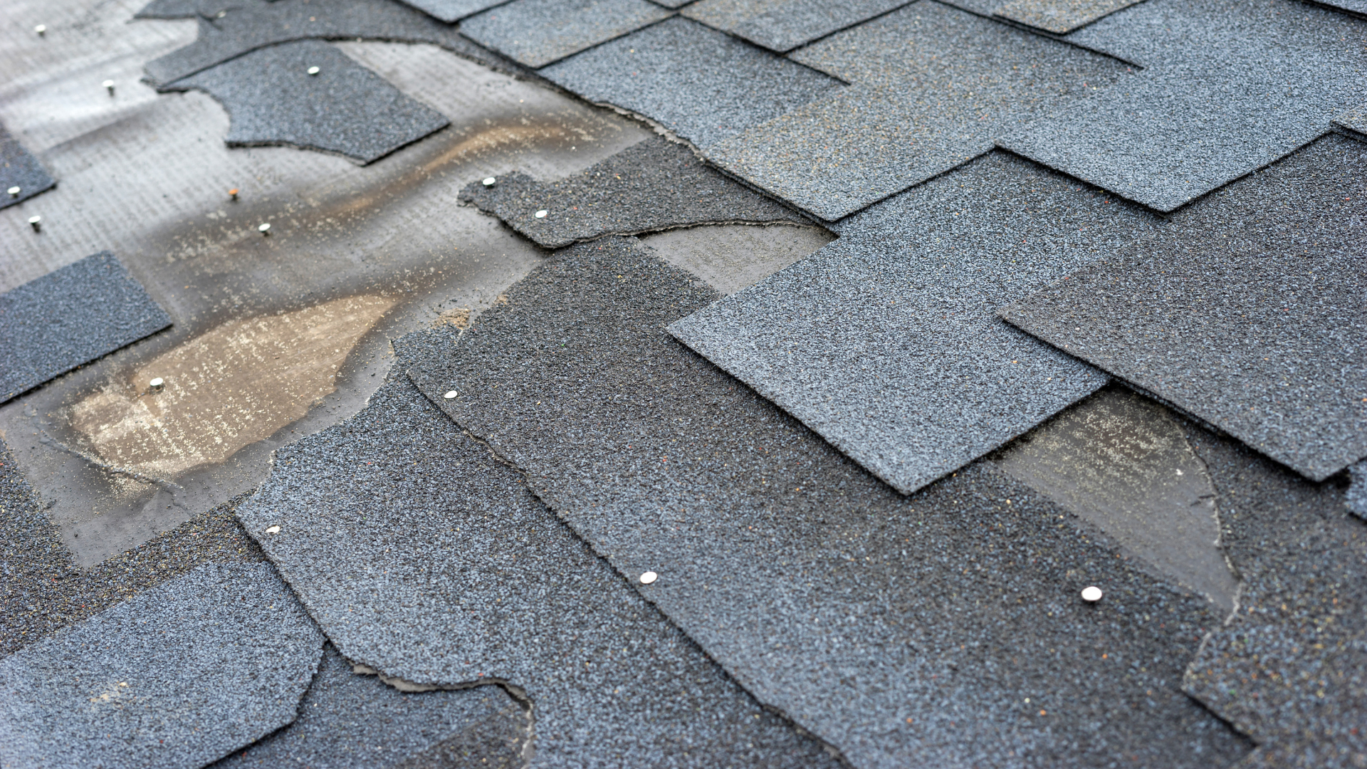 Damaged gray asphalt shingles with a hole and exposed underlayment on a roof