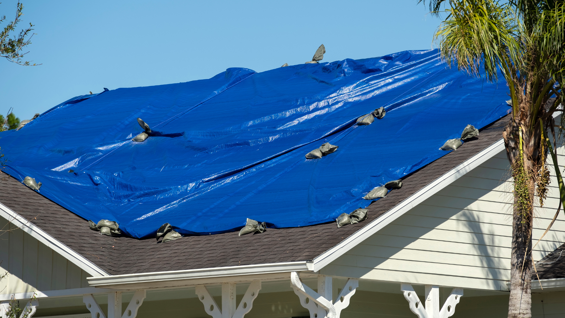 Blue tarp covering a damaged house roof with some shingles exposed and trees visible nearby