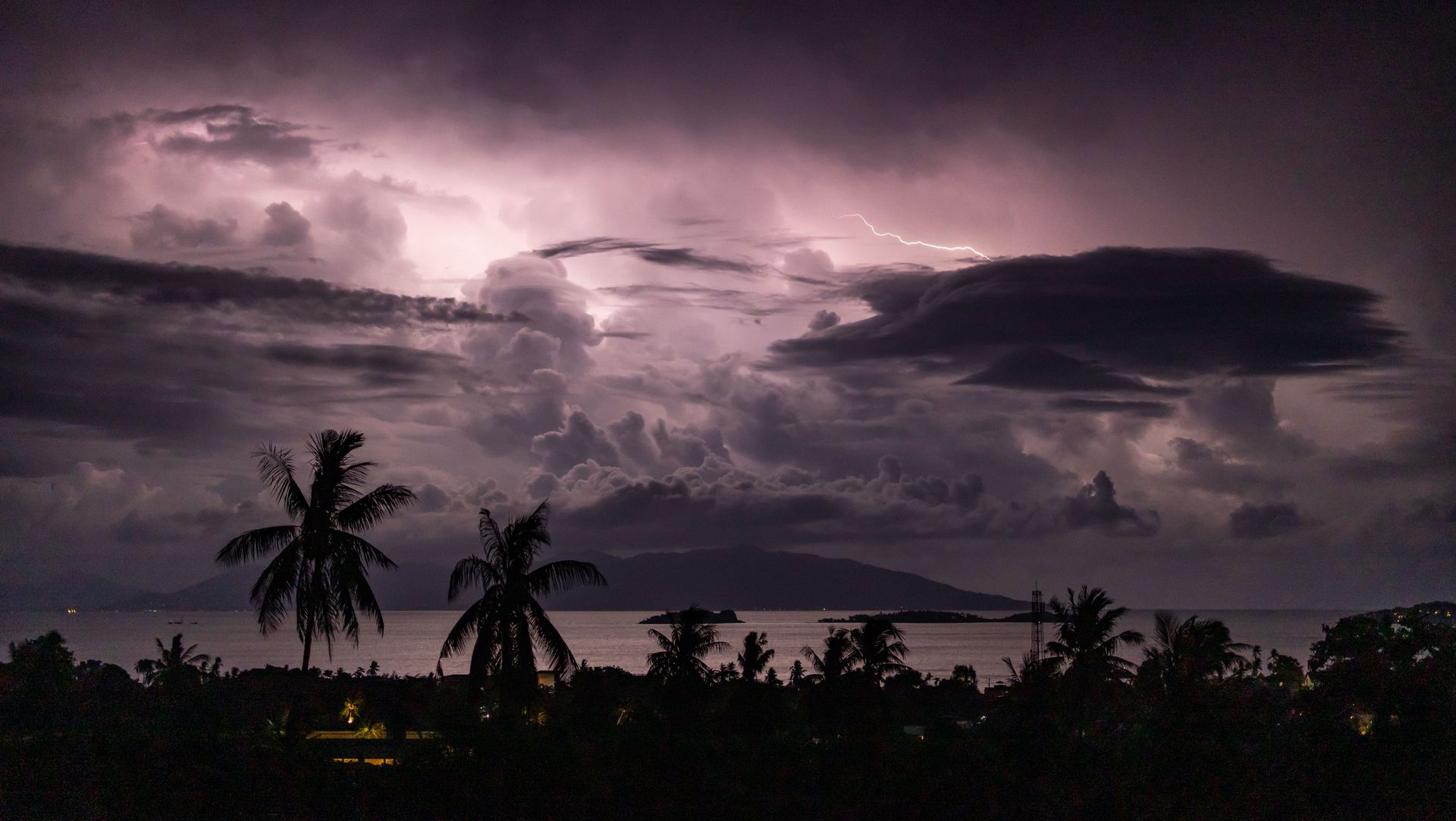 Purple lightning storm over a tropical coastline with silhouetted palm trees at dusk