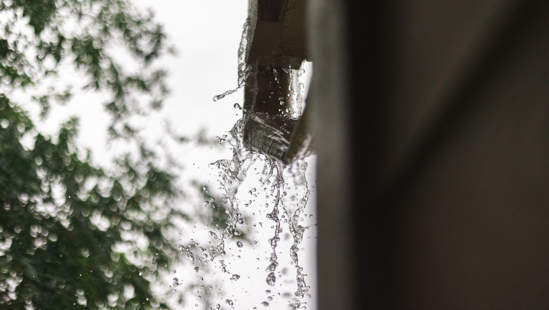 Close-up of a rain gutter dripping water beside blurred tree branches and a dark building edge