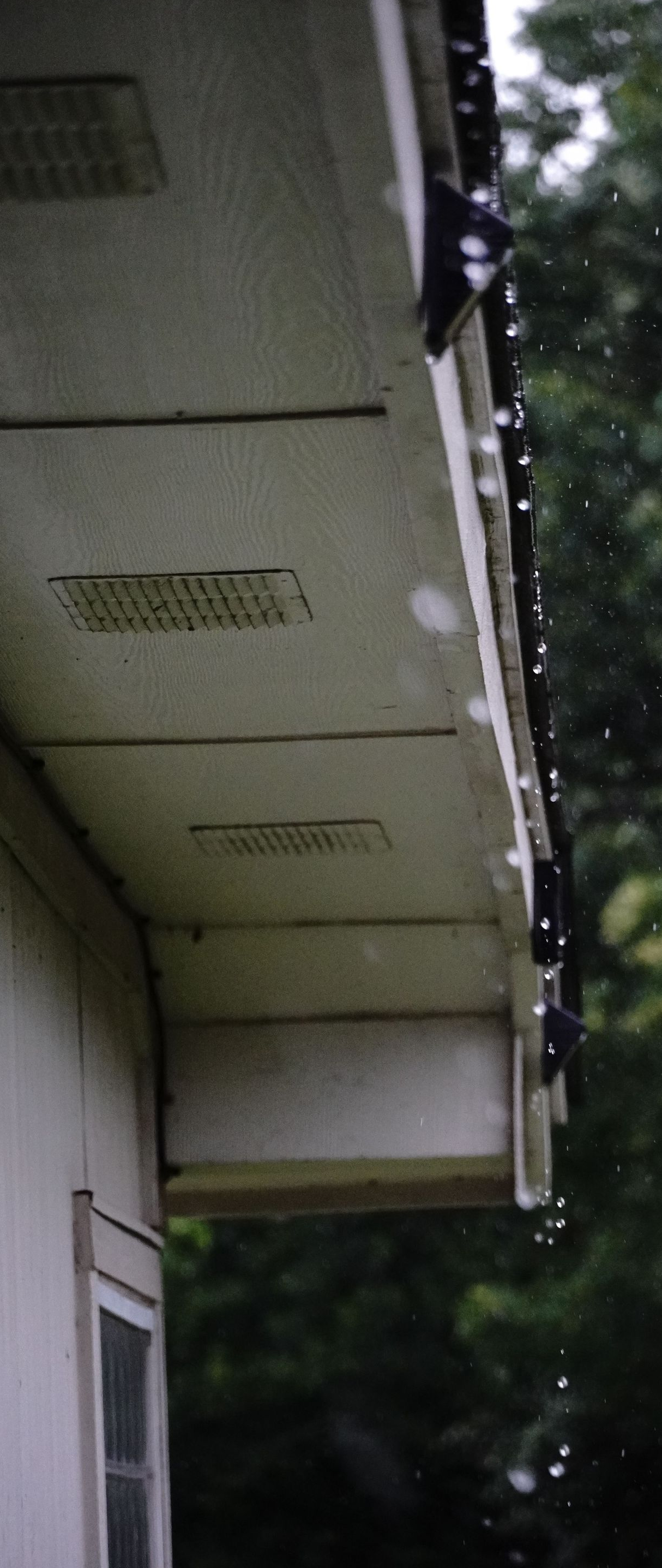 Side view of a white house roof and eaves beside trees, shot from below.